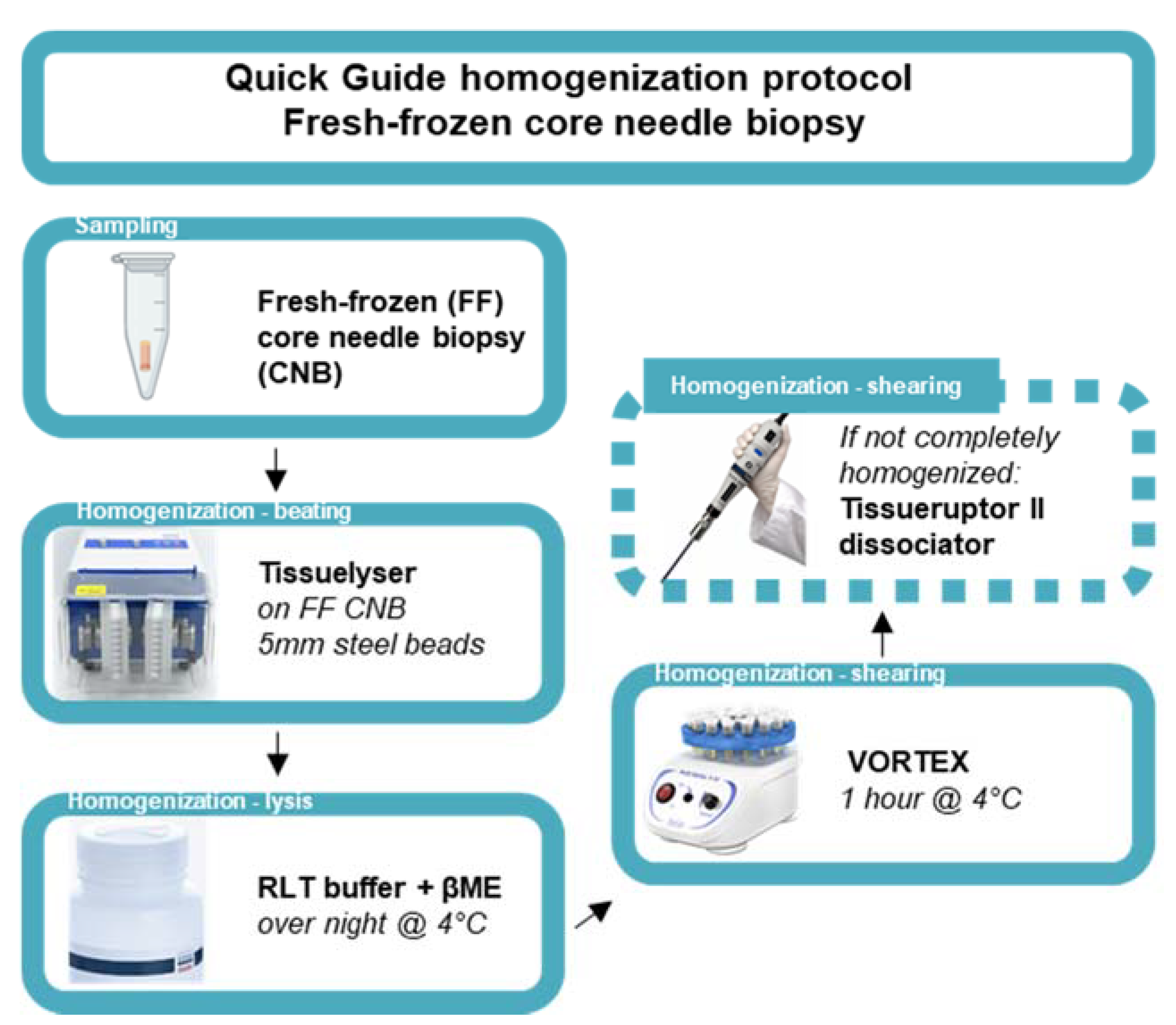 Biomolecules 11 00621 g001