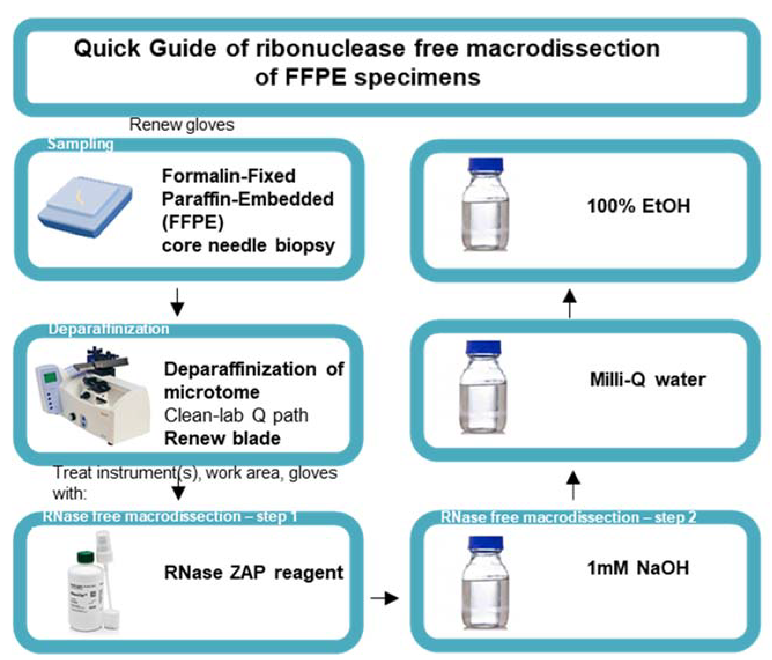 Biomolecules 11 00621 g002