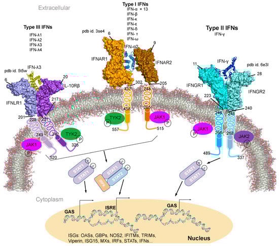 Biomolecules 11 00622 g001