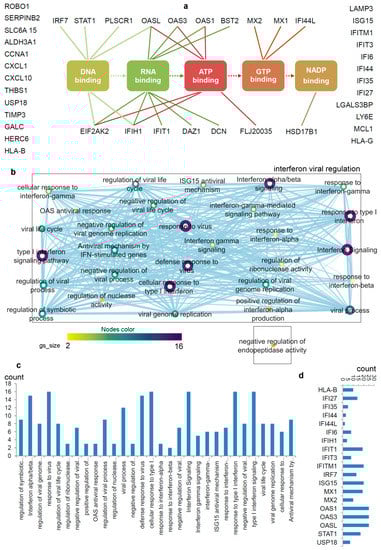 Biomolecules 11 00622 g002
