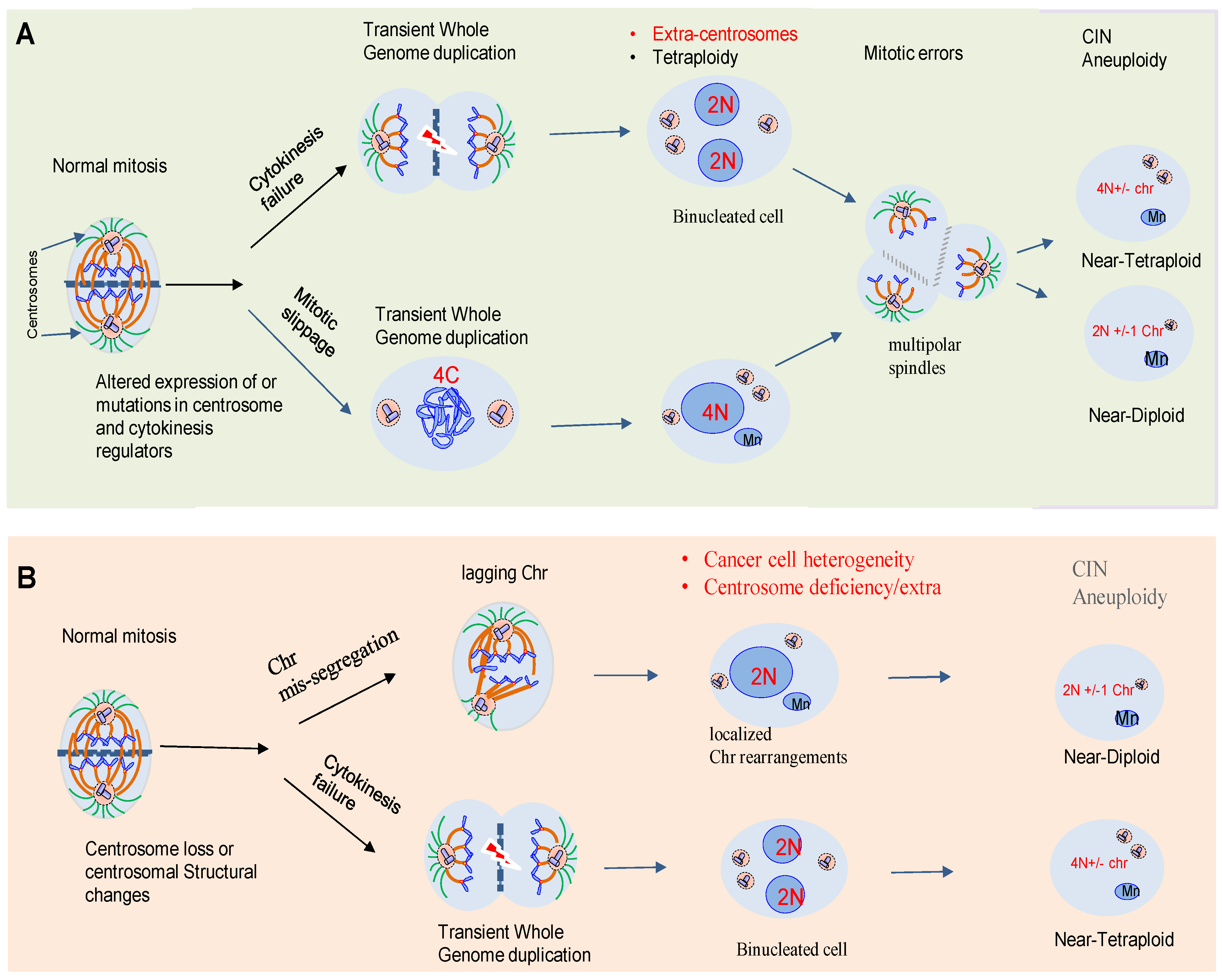 Biomolecules 11 00629 g001