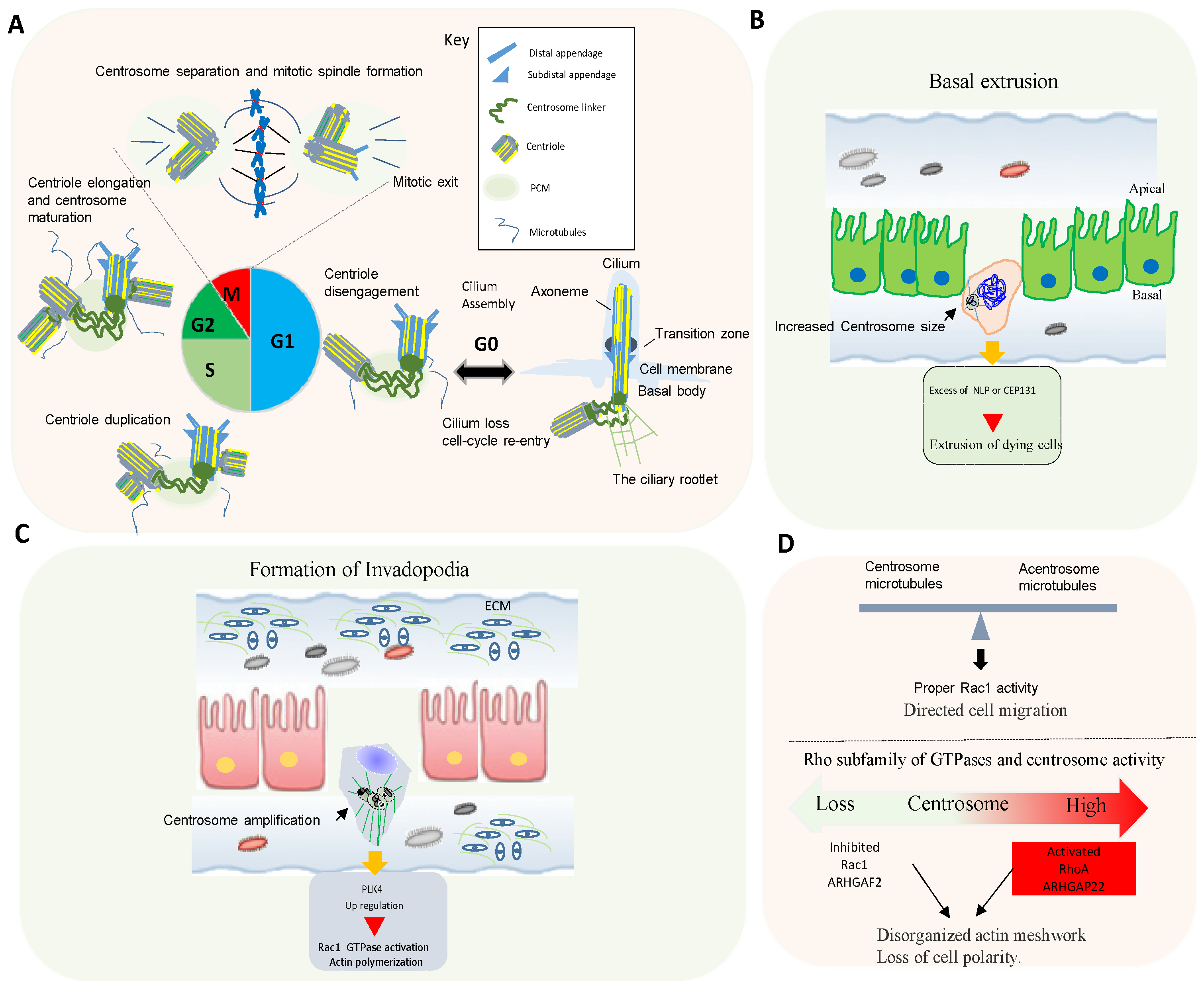 Biomolecules 11 00629 g002