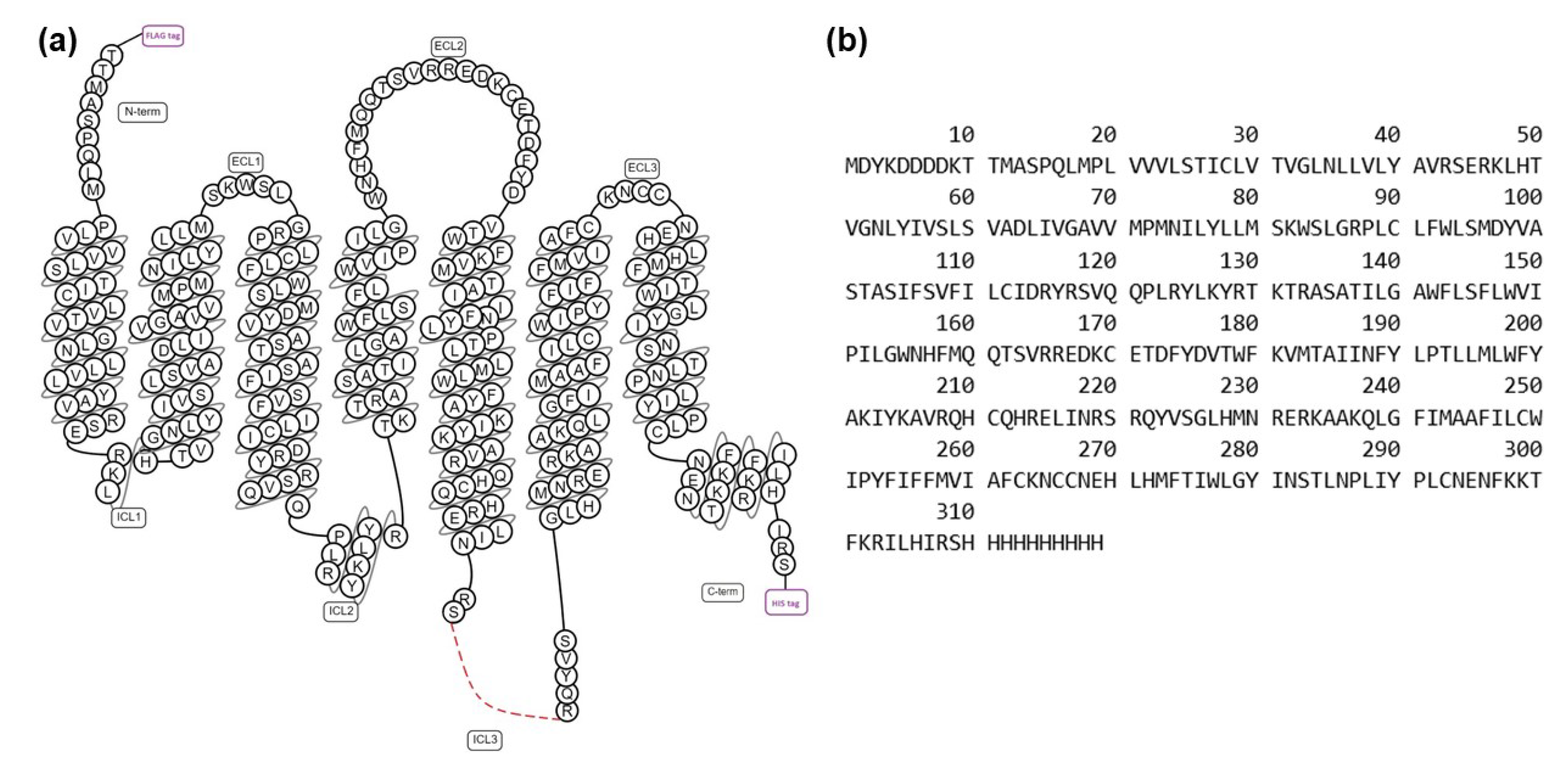 Biomolecules 11 00632 g001