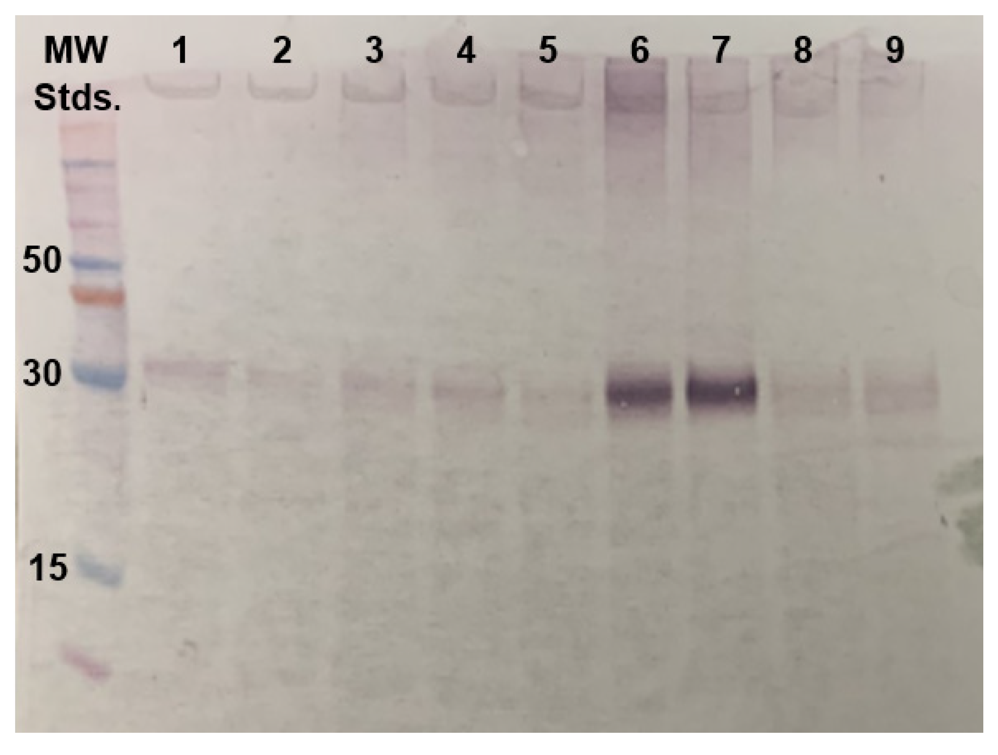 Biomolecules 11 00632 g002