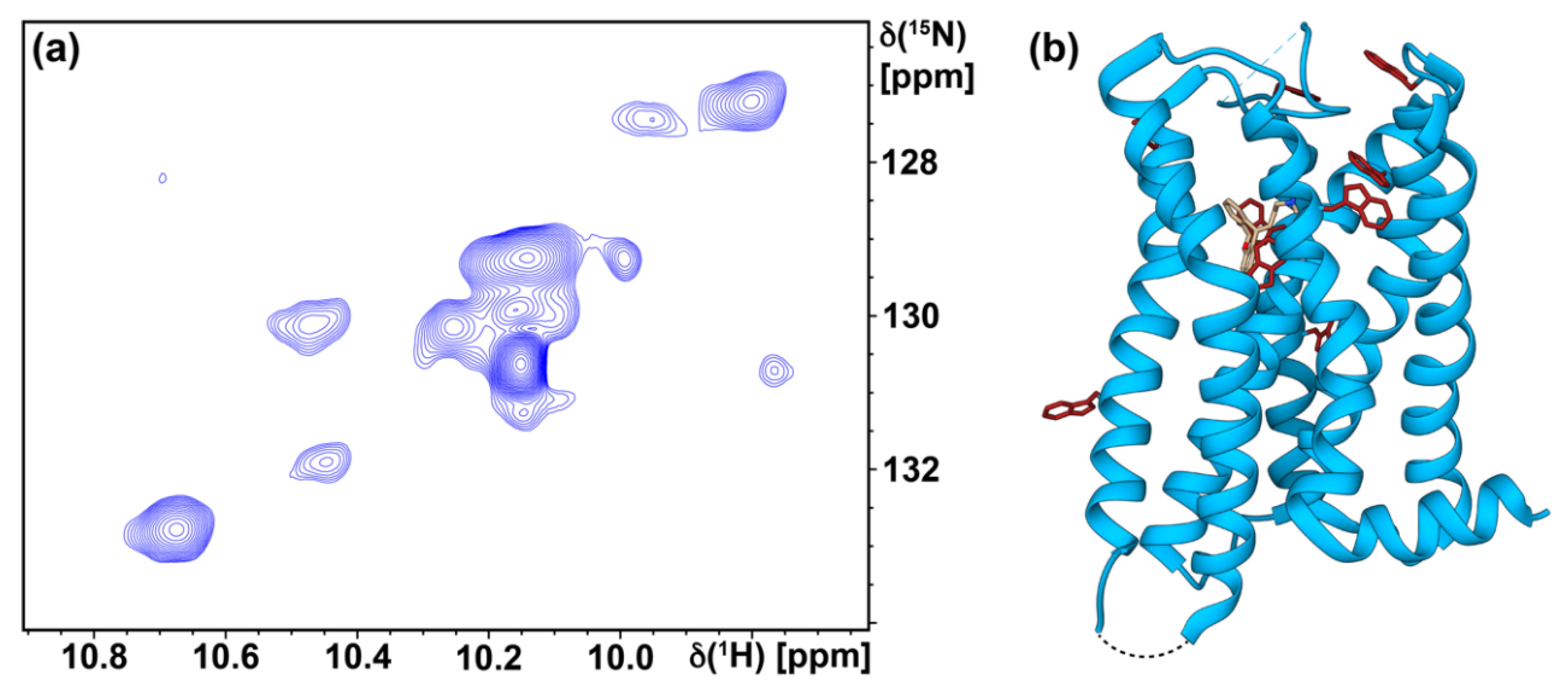 Biomolecules 11 00632 g006