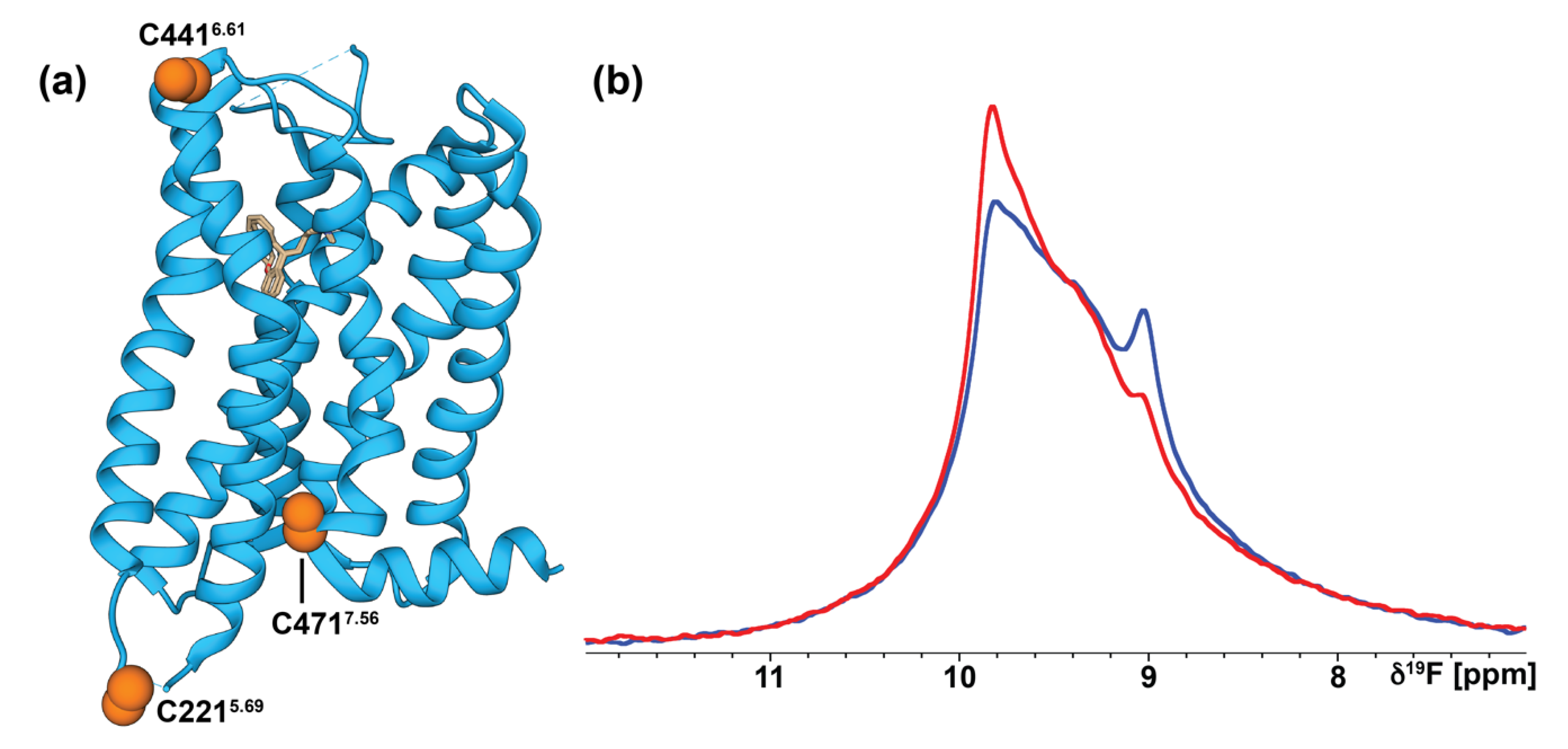 Biomolecules 11 00632 g008