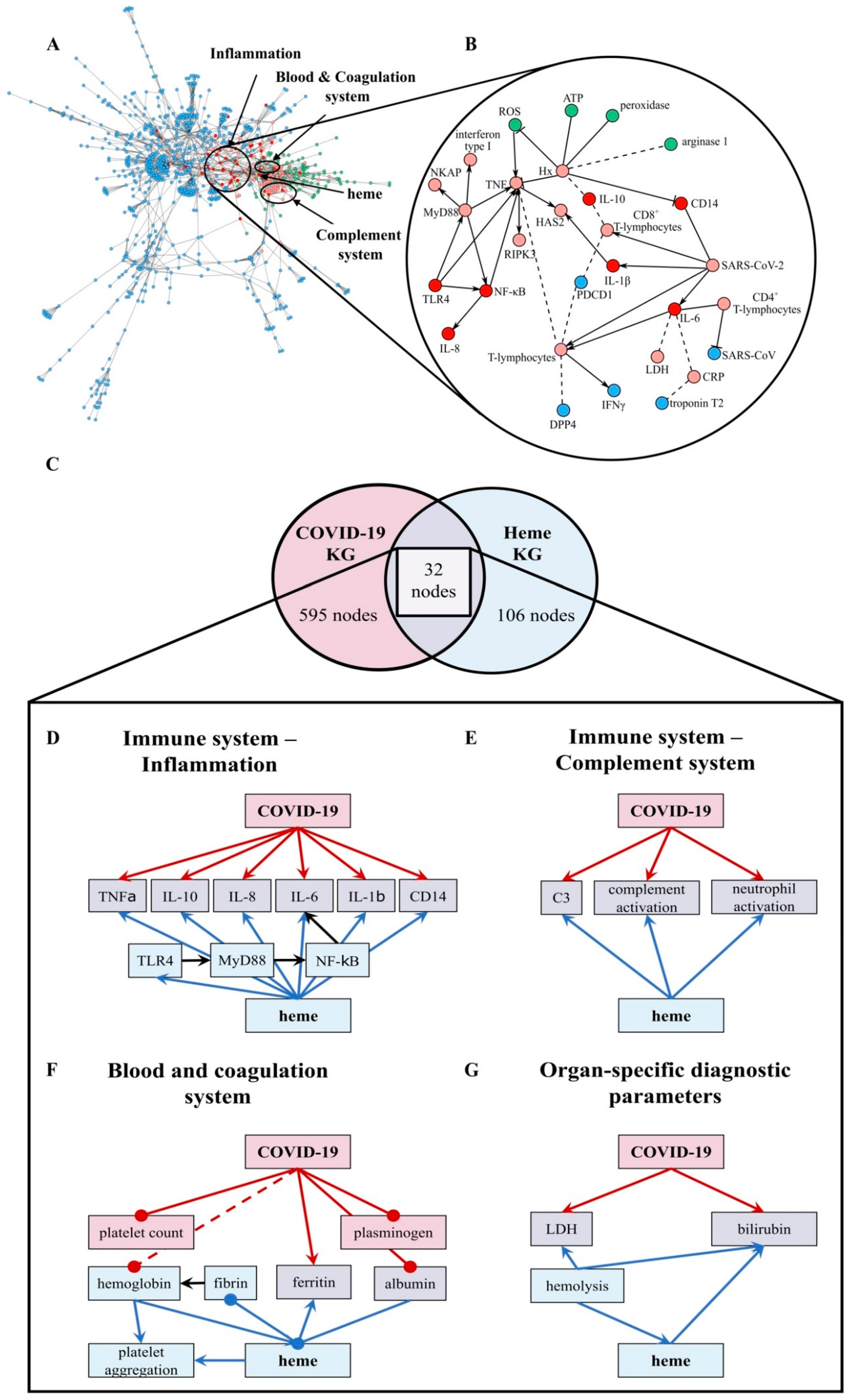 Biomolecules 11 00644 g001