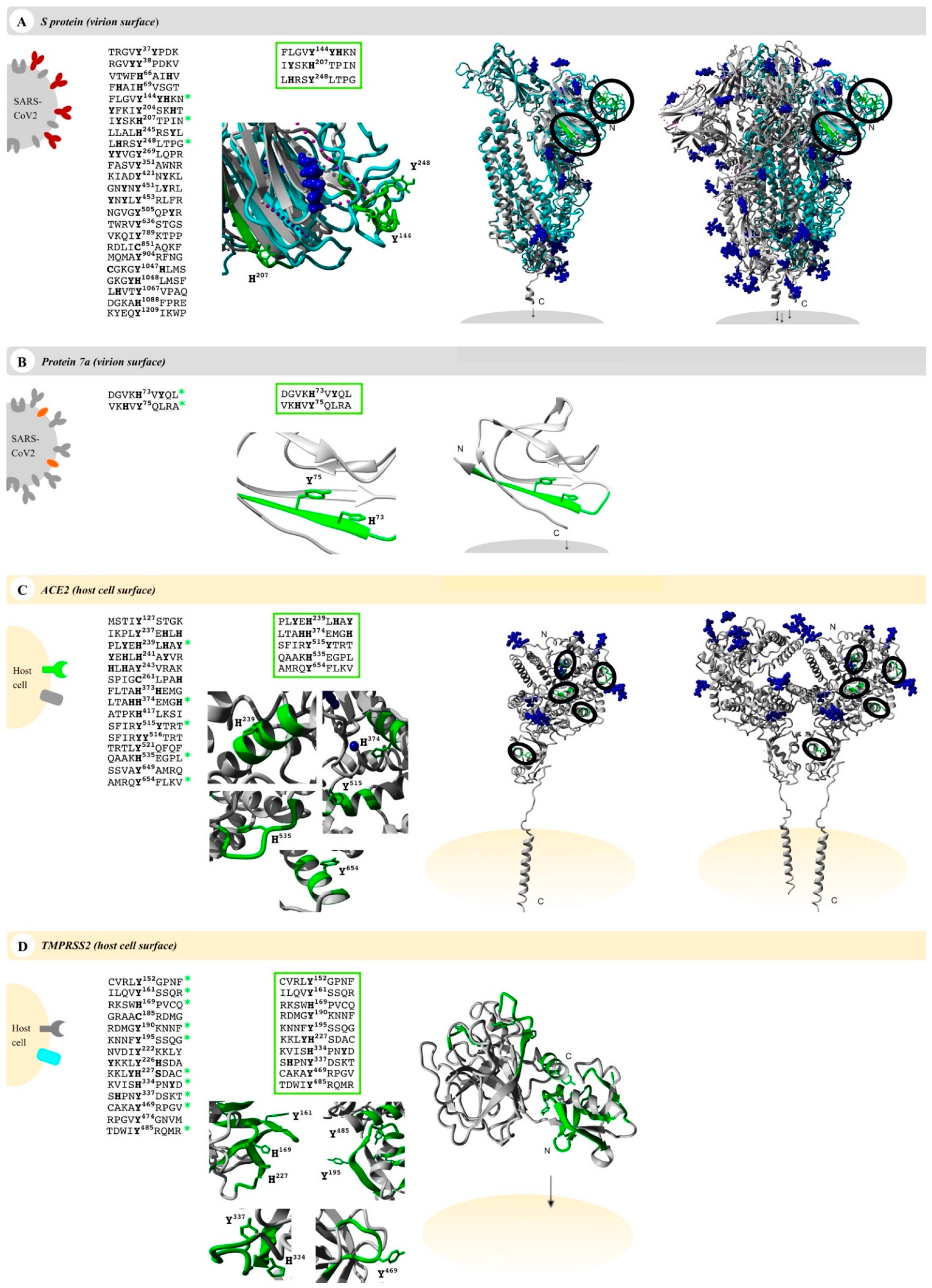 Biomolecules 11 00644 g002