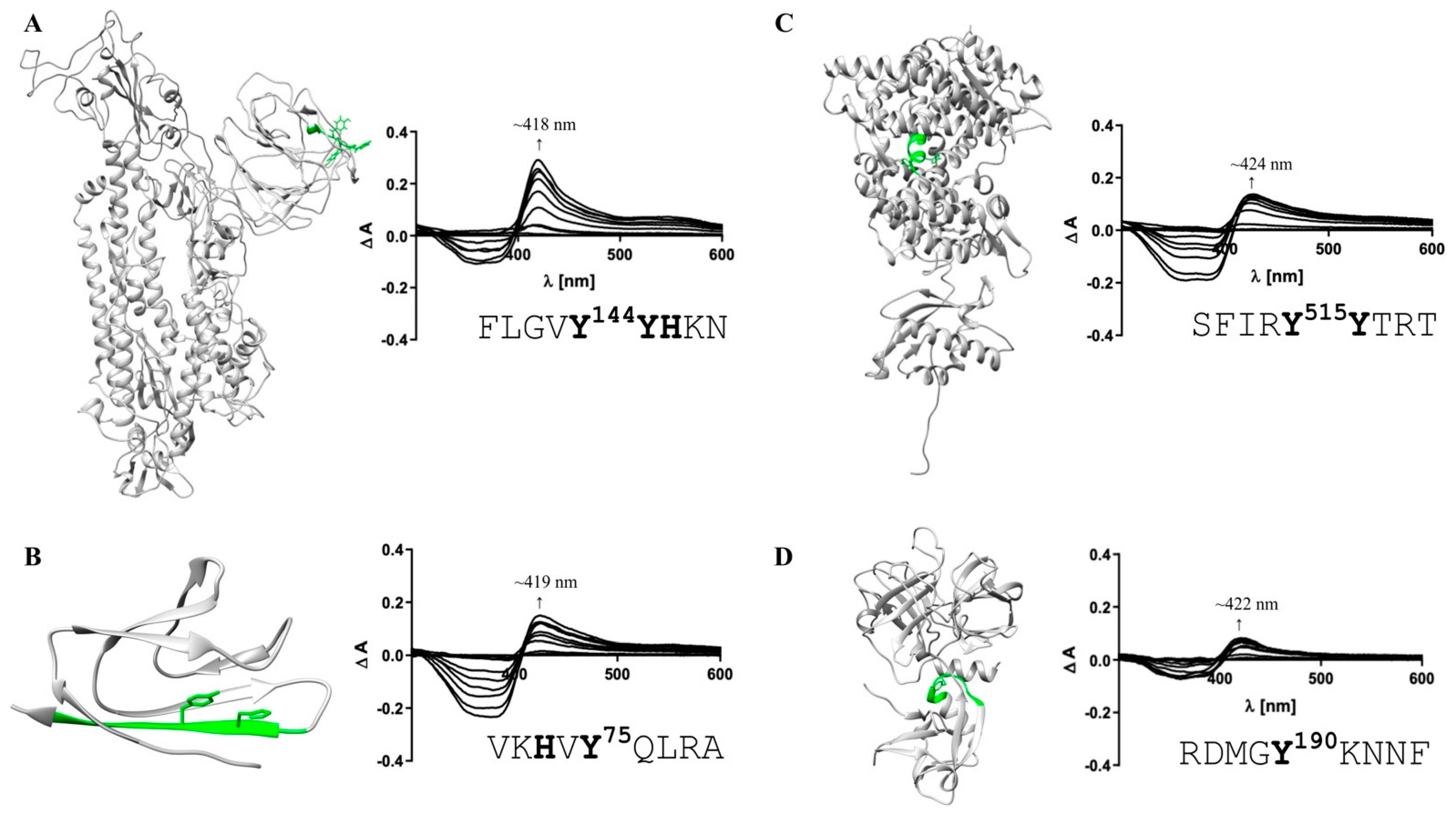 Biomolecules 11 00644 g003