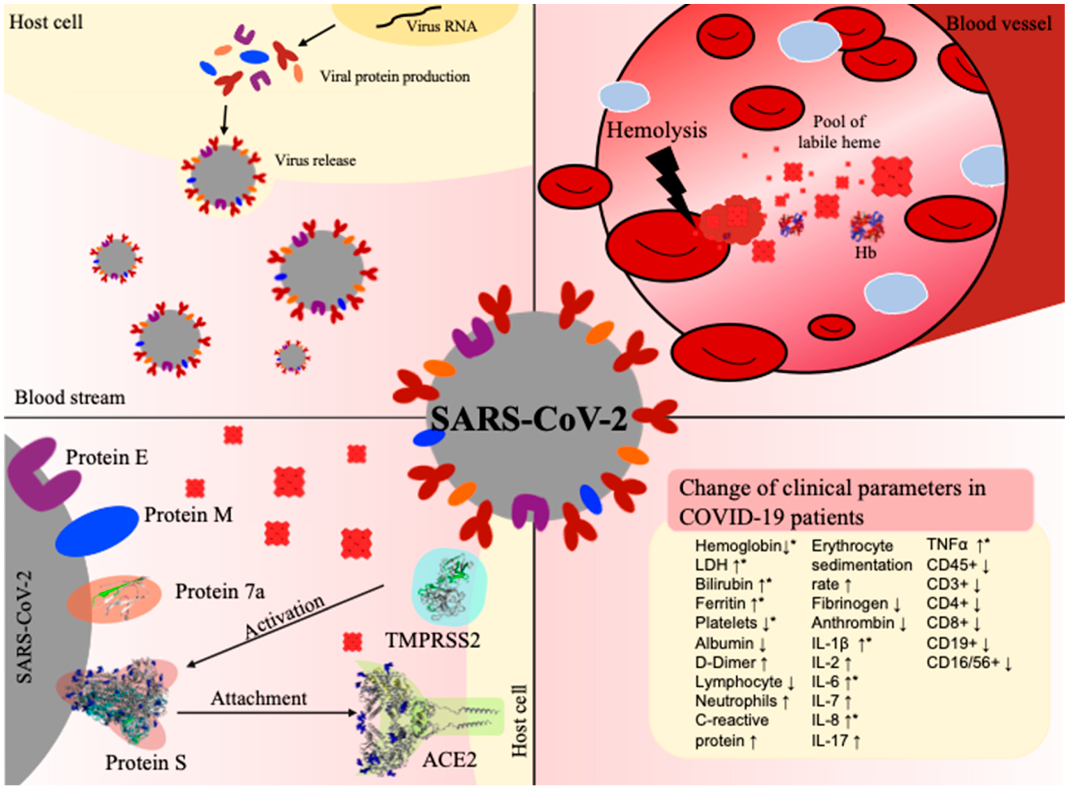 Biomolecules 11 00644 g004