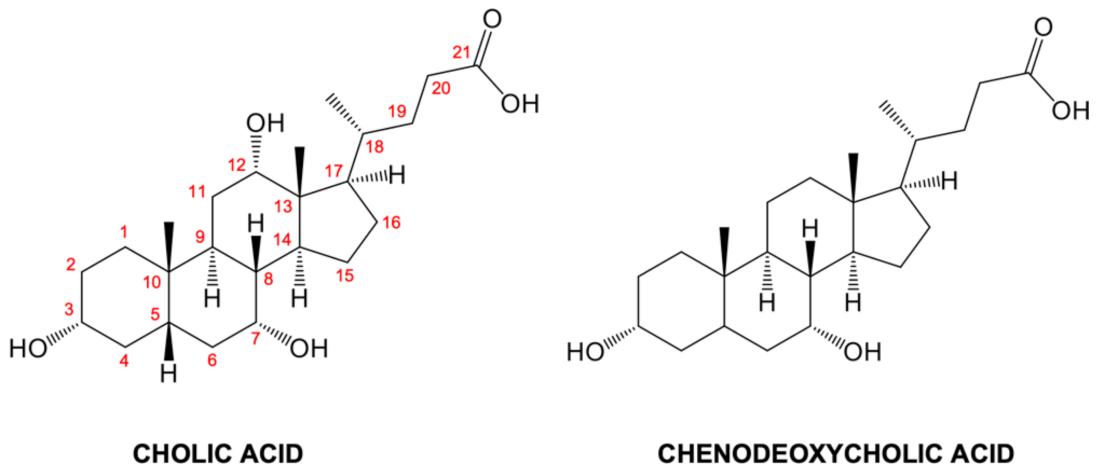 Biomolecules 11 00645 g001