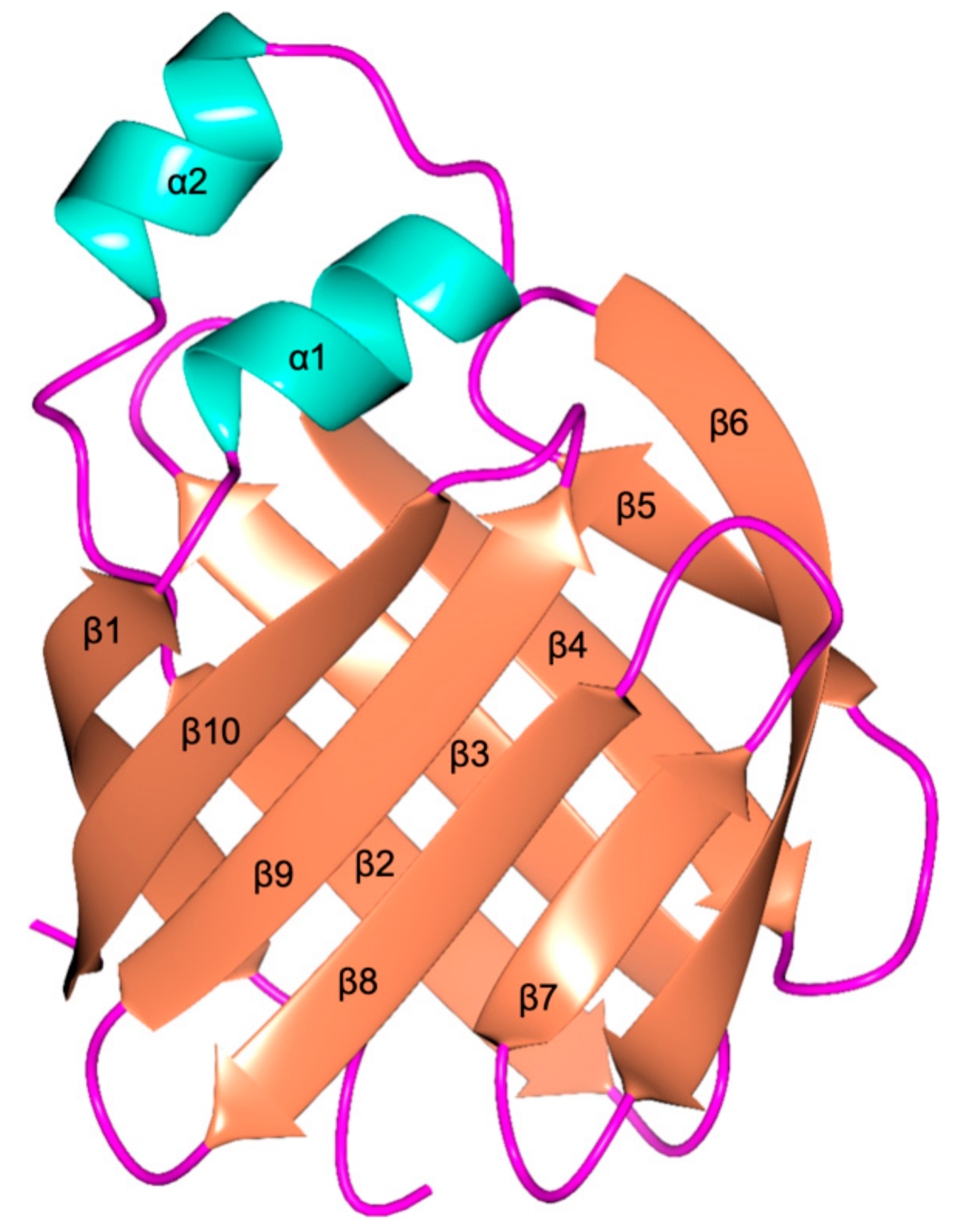 Biomolecules 11 00645 g004