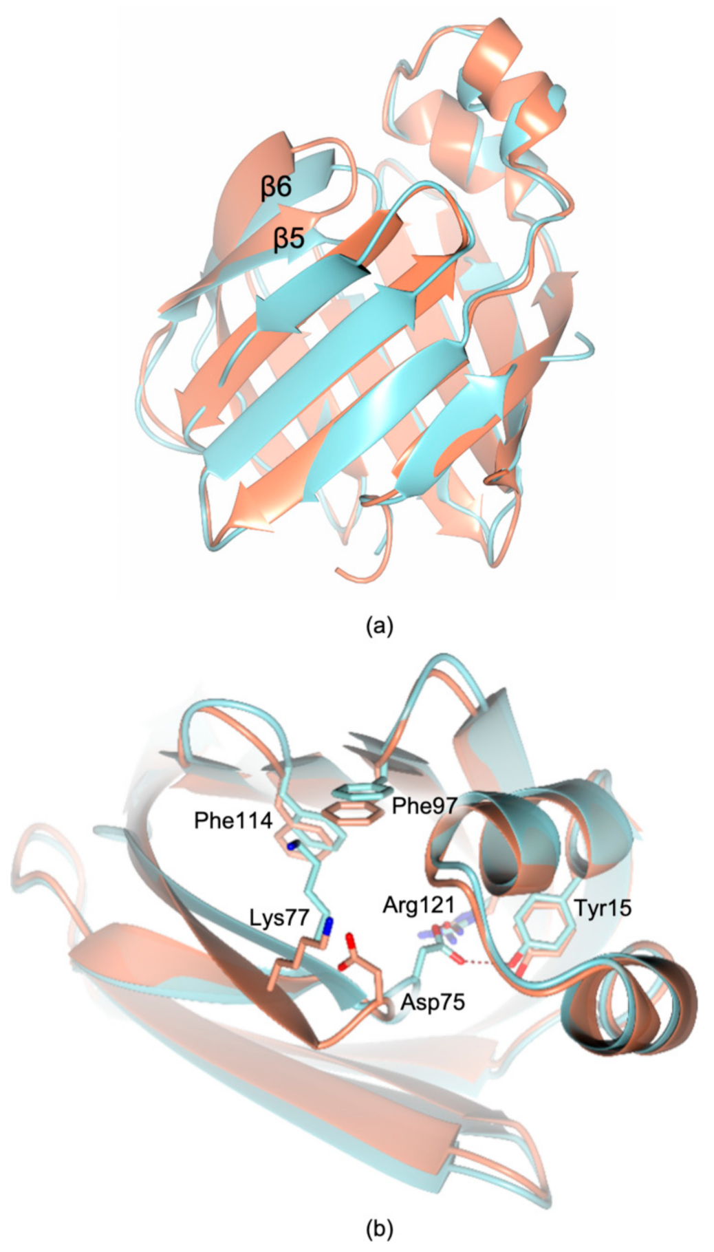 Biomolecules 11 00645 g005