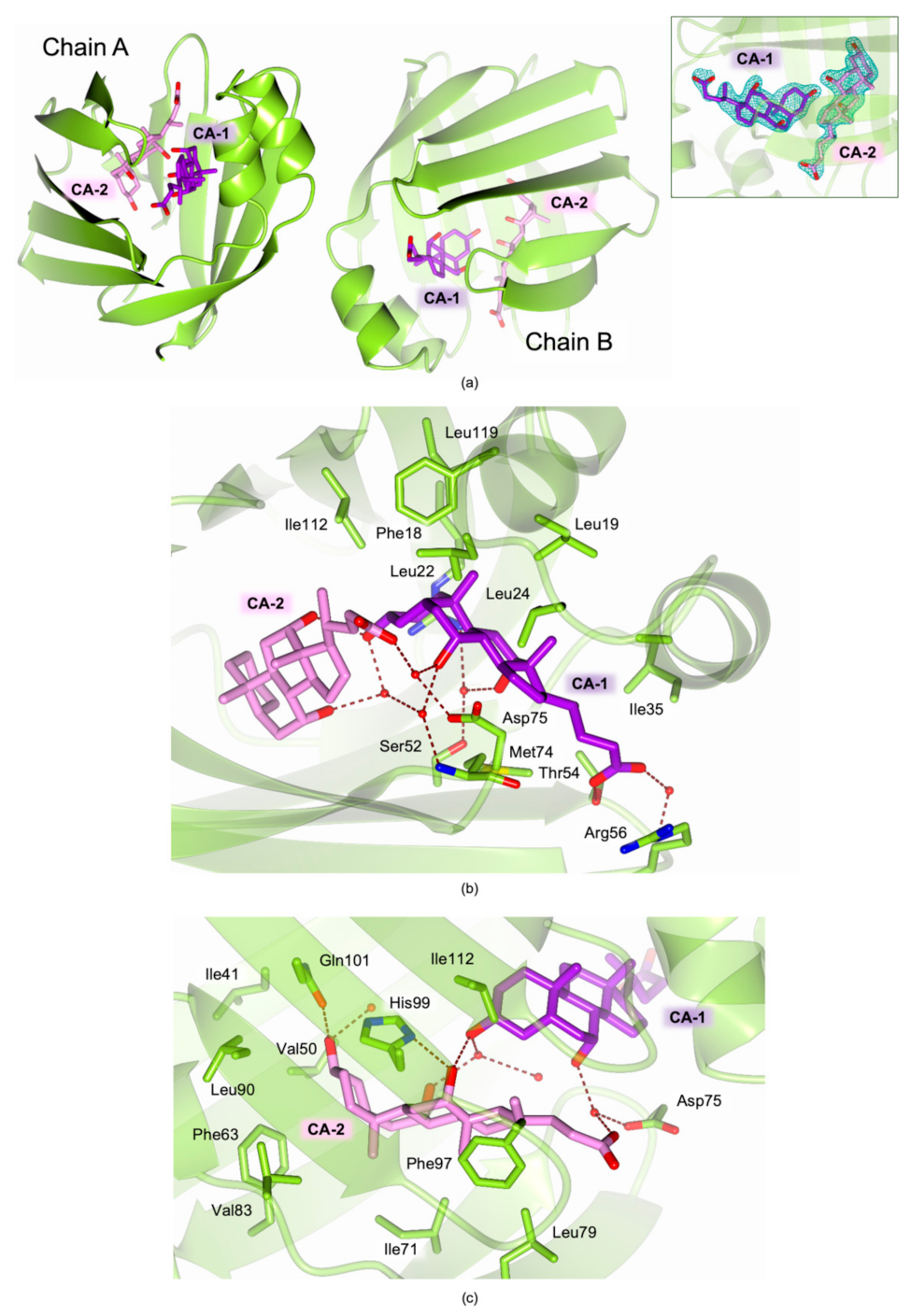 Biomolecules 11 00645 g006