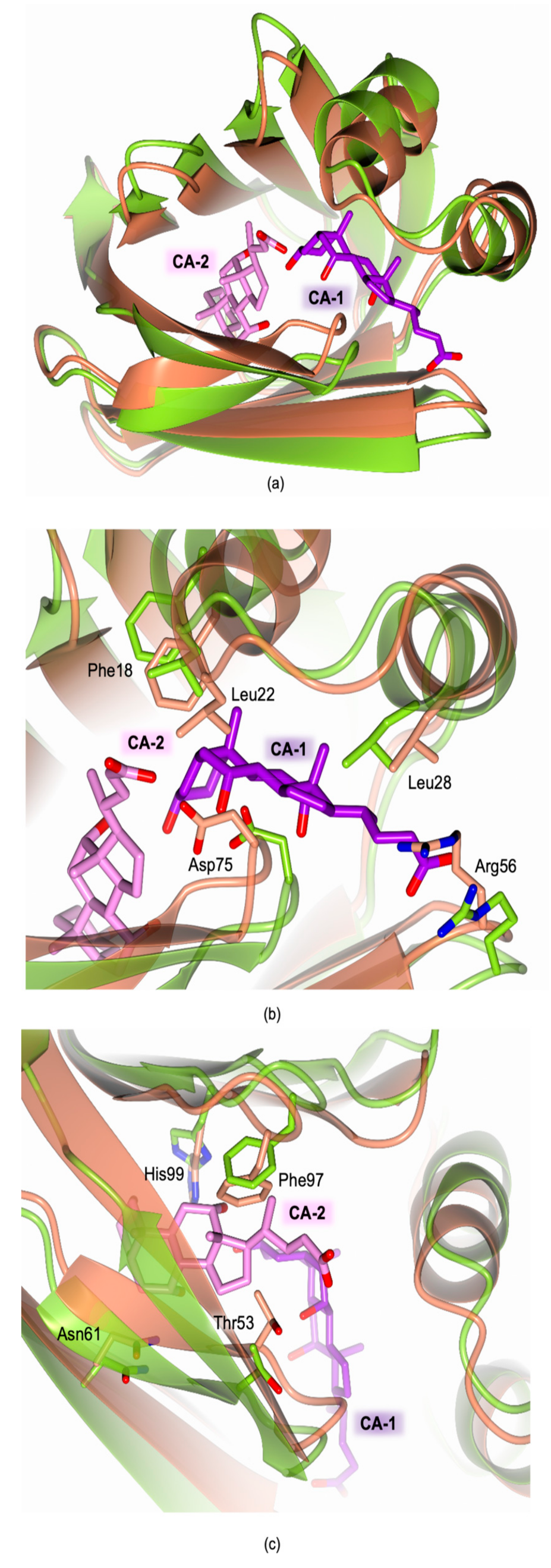 Biomolecules 11 00645 g007