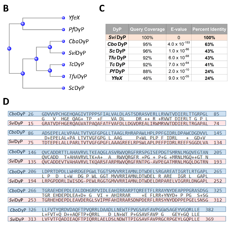 Biomolecules 11 00656 g001b