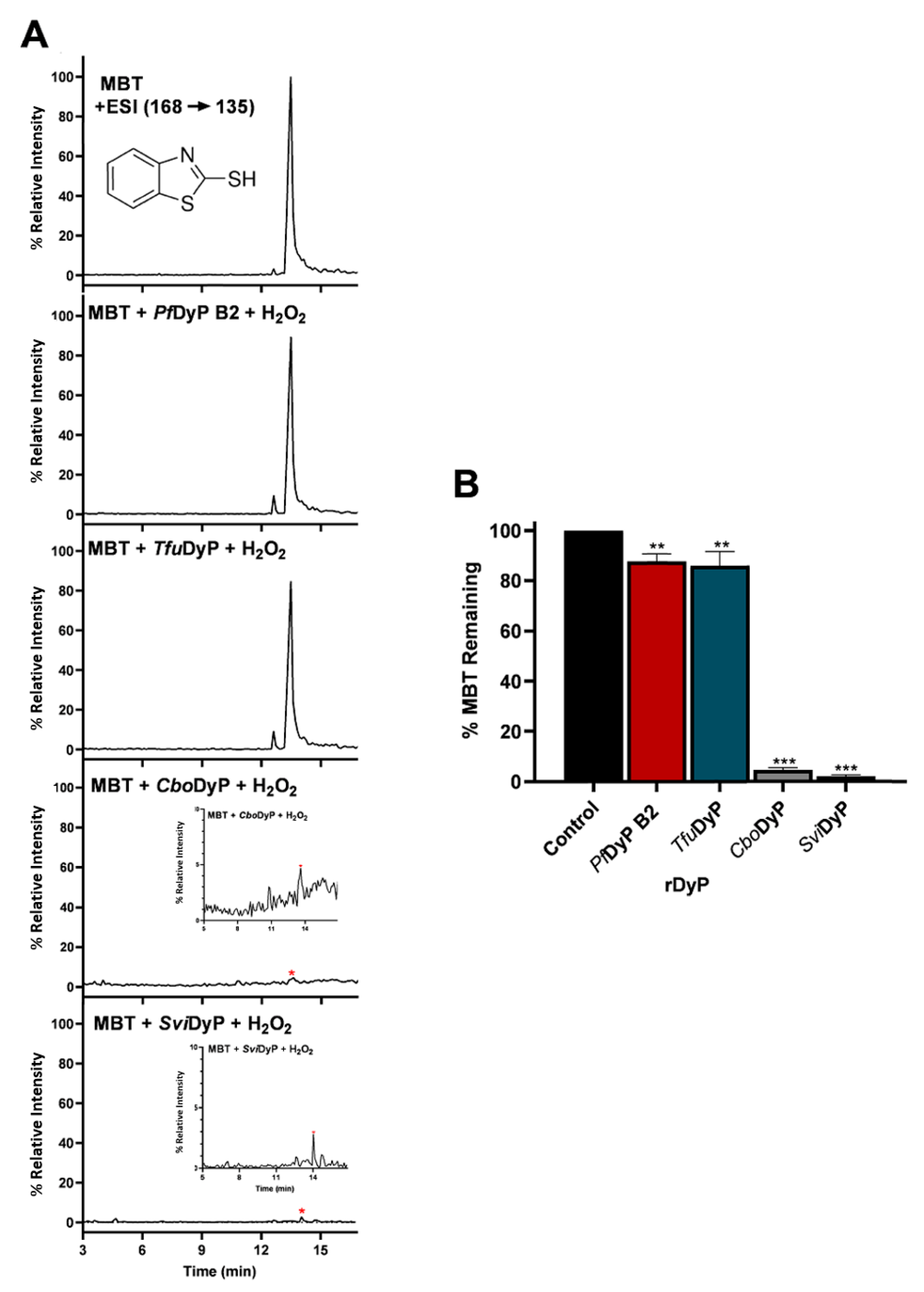 Biomolecules 11 00656 g004