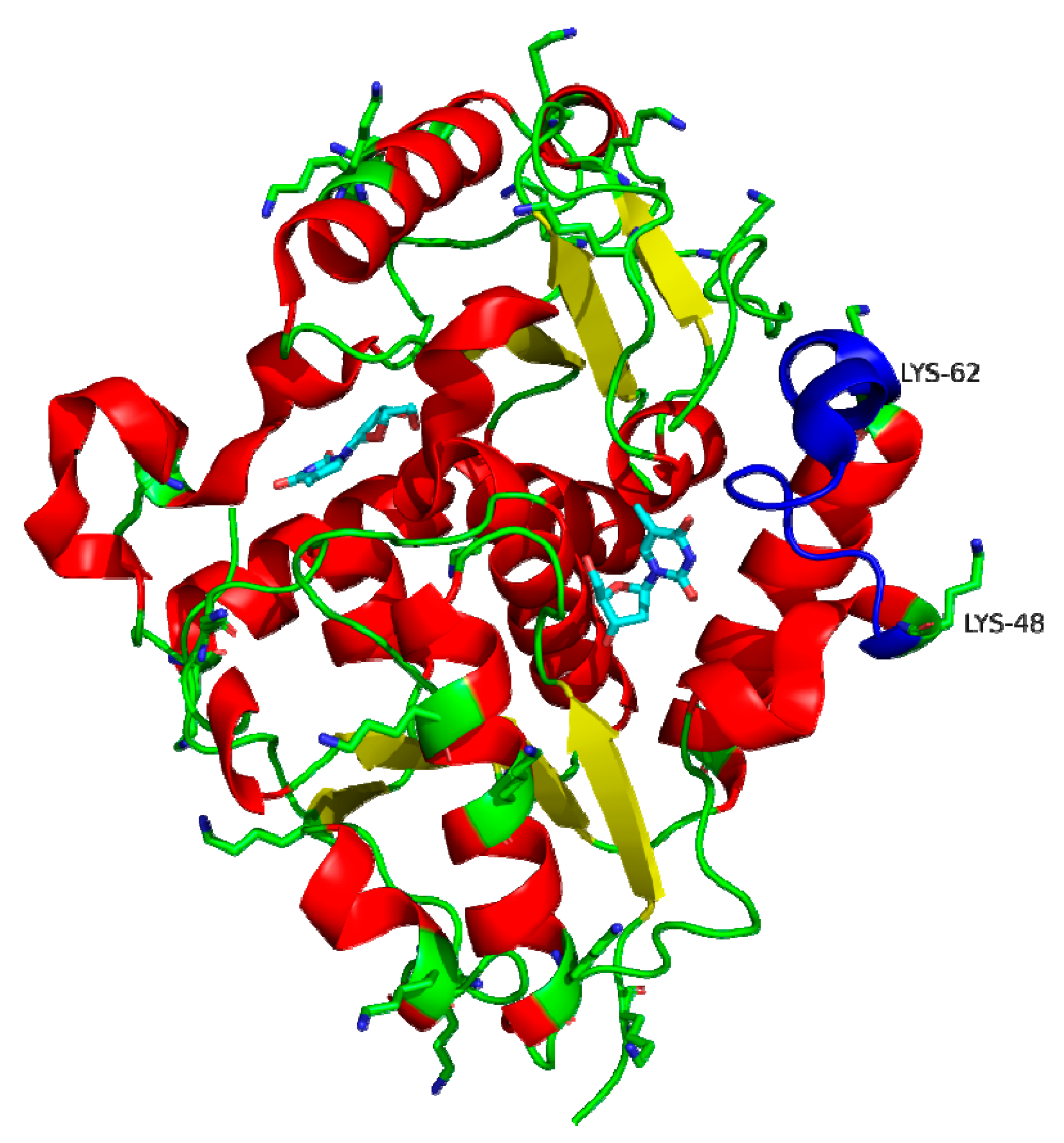 Biomolecules 11 00657 g002
