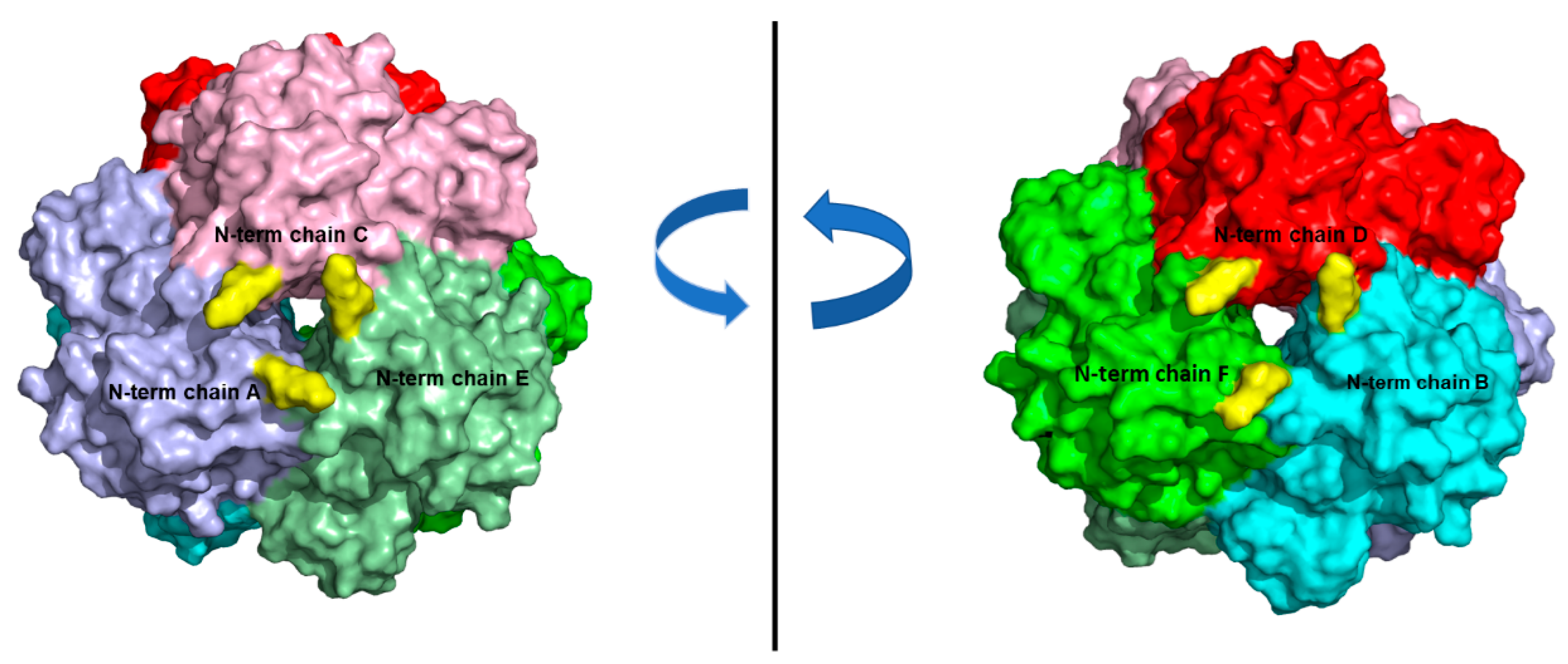 Biomolecules 11 00657 g005