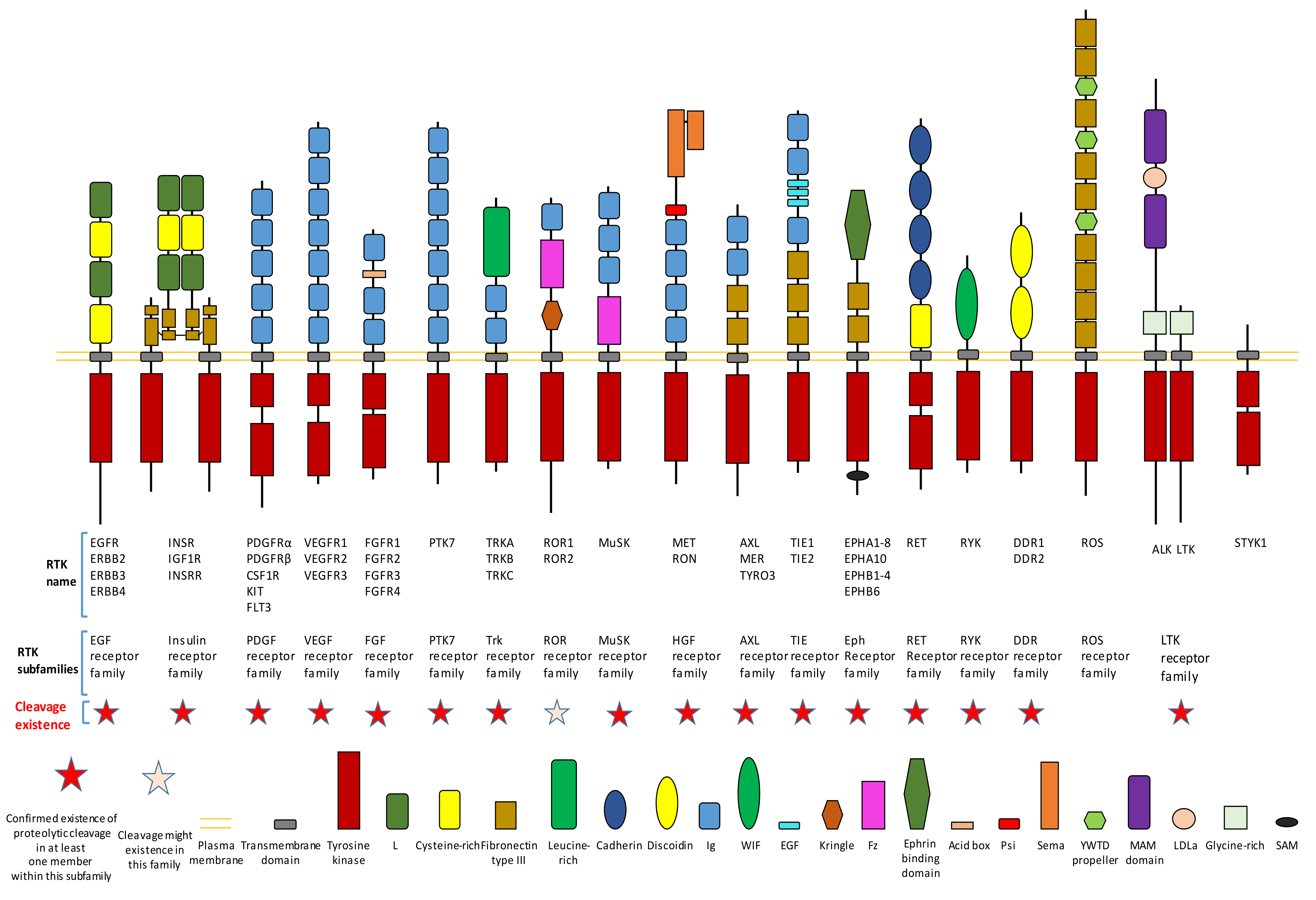 Biomolecules 11 00660 g001
