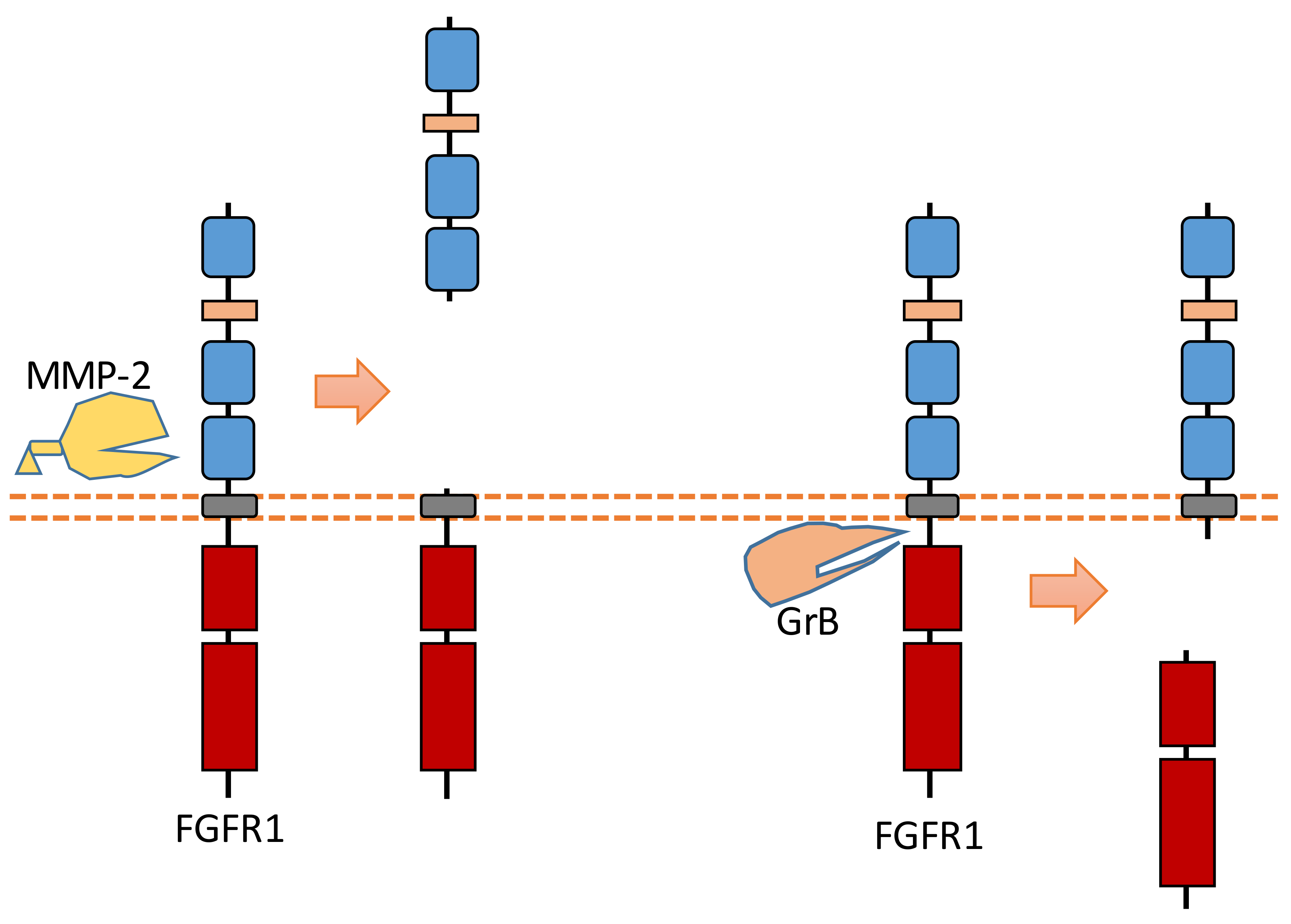 Biomolecules 11 00660 g008