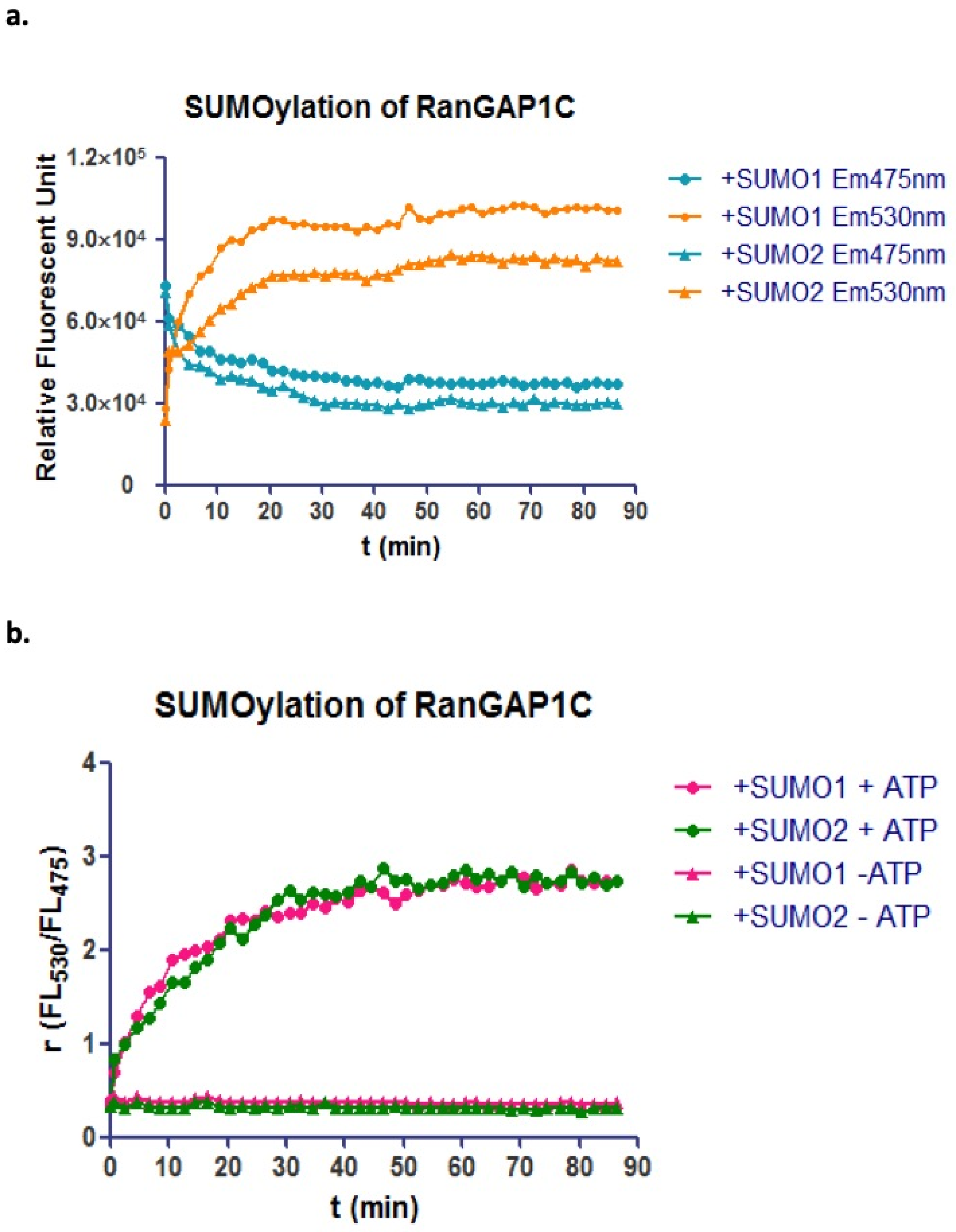 Biomolecules 11 00673 g002 Biomolecules 11 00673 g002