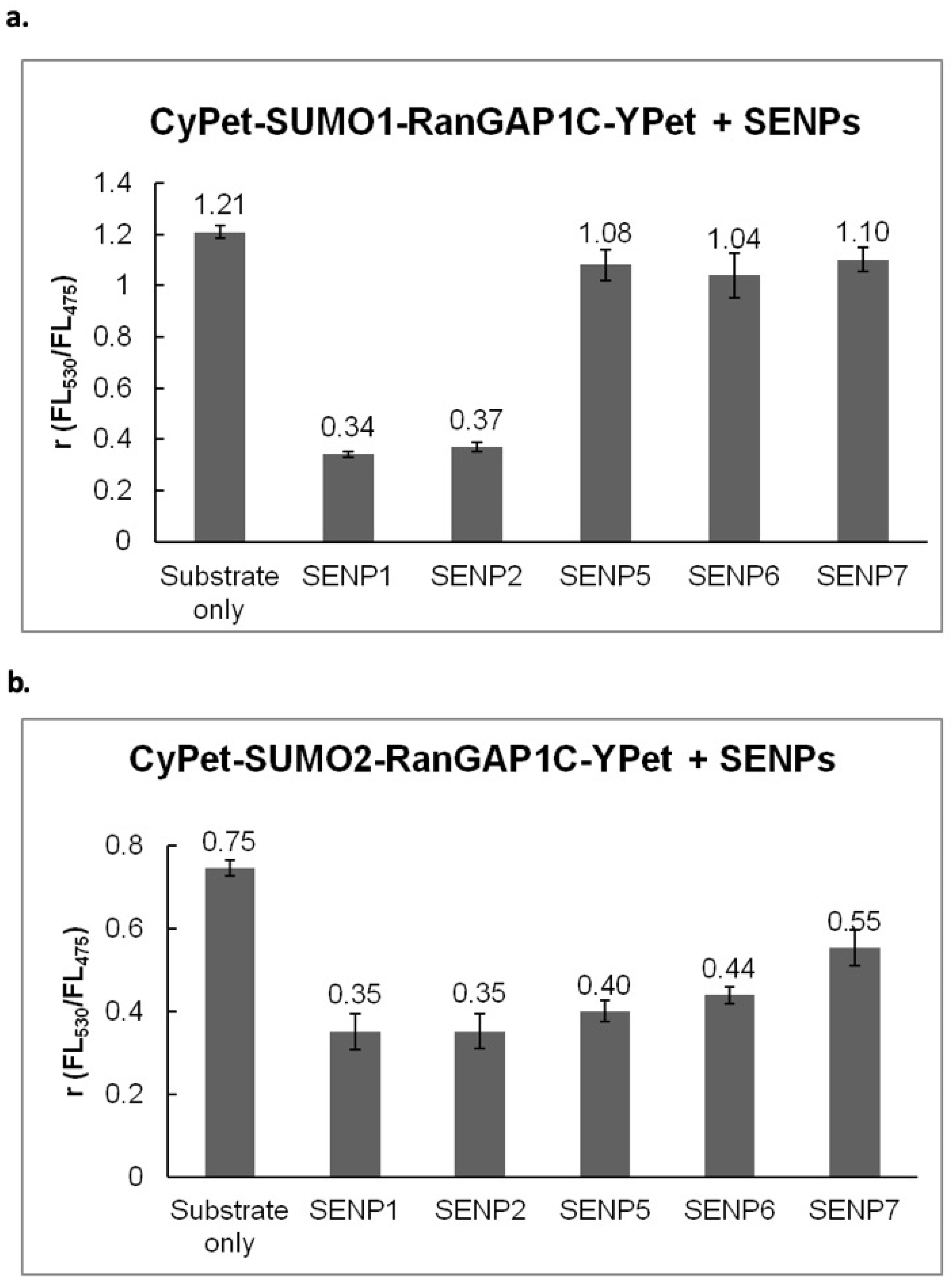Biomolecules 11 00673 g004 Biomolecules 11 00673 g004