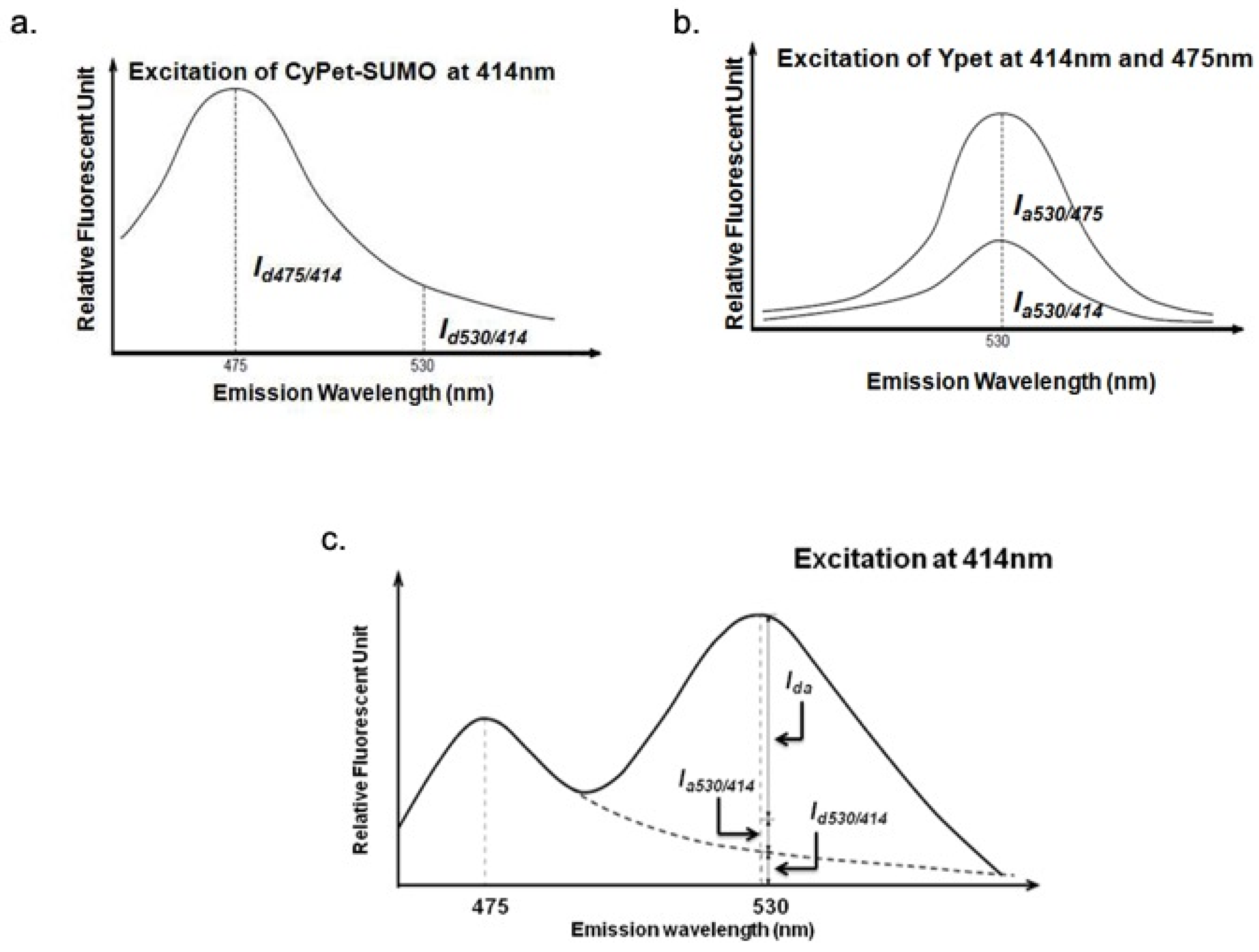 Biomolecules 11 00673 g005 Biomolecules 11 00673 g005