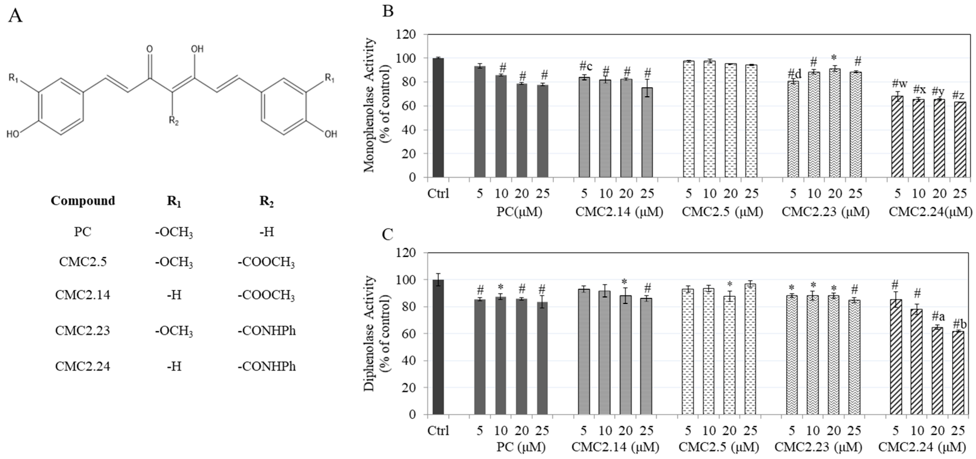 Biomolecules 11 00674 g001 Biomolecules 11 00674 g001