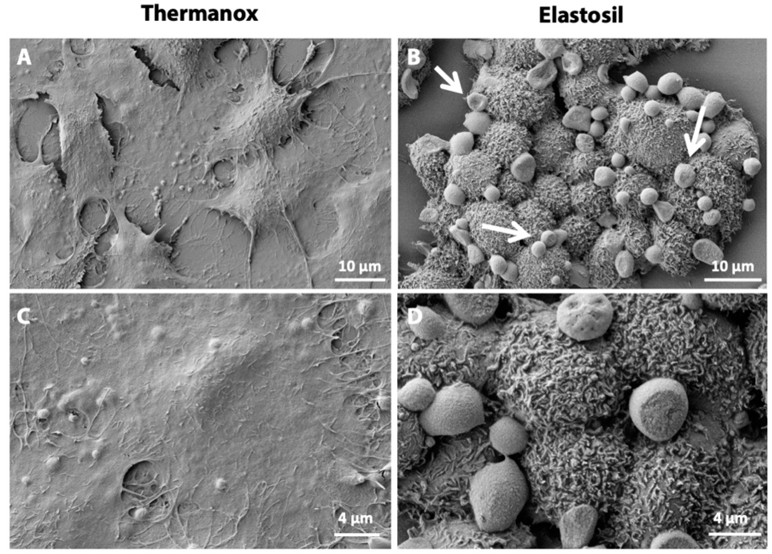 Biomolecules 11 00675 g003 Biomolecules 11 00675 g003