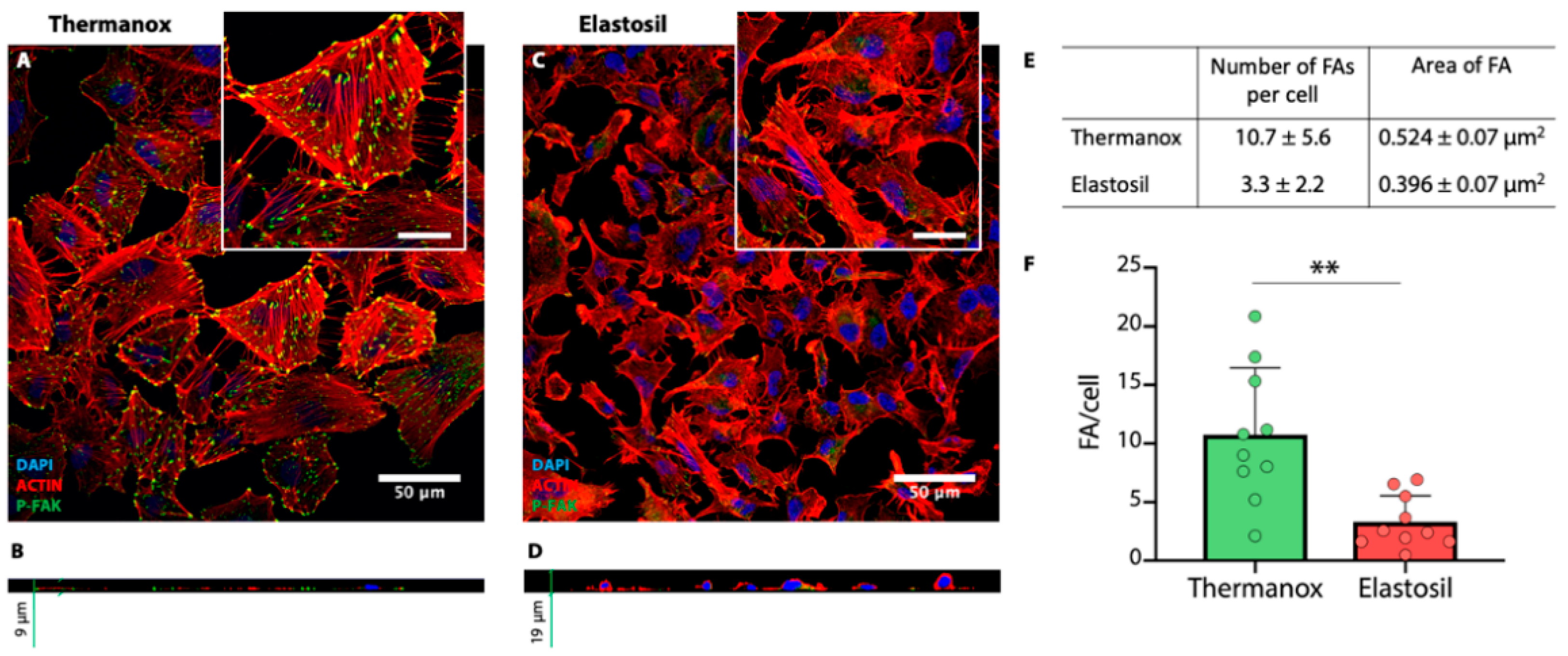 Biomolecules 11 00675 g005 Biomolecules 11 00675 g005