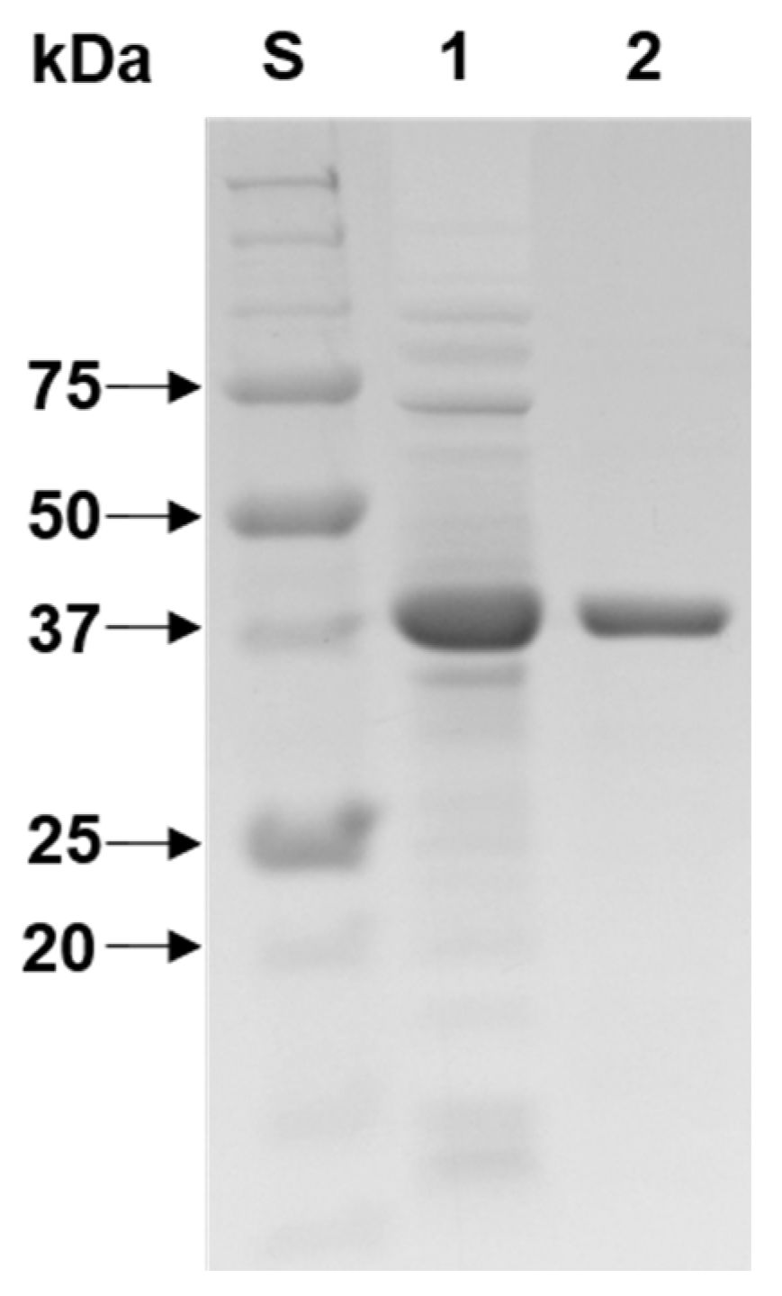 Biomolecules 11 00680 g003
