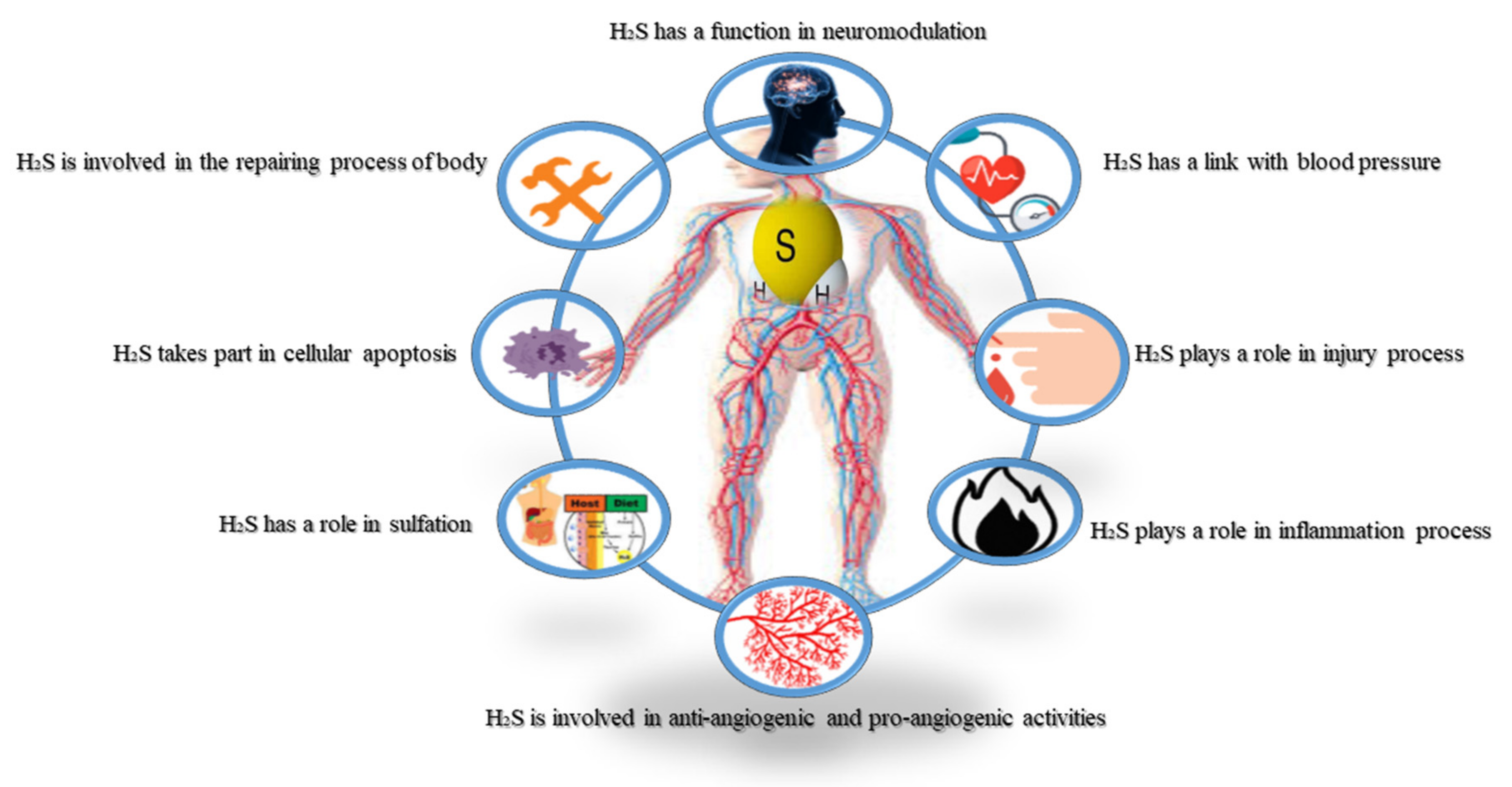 Biomolecules 11 00682 g001 Biomolecules 11 00682 g001