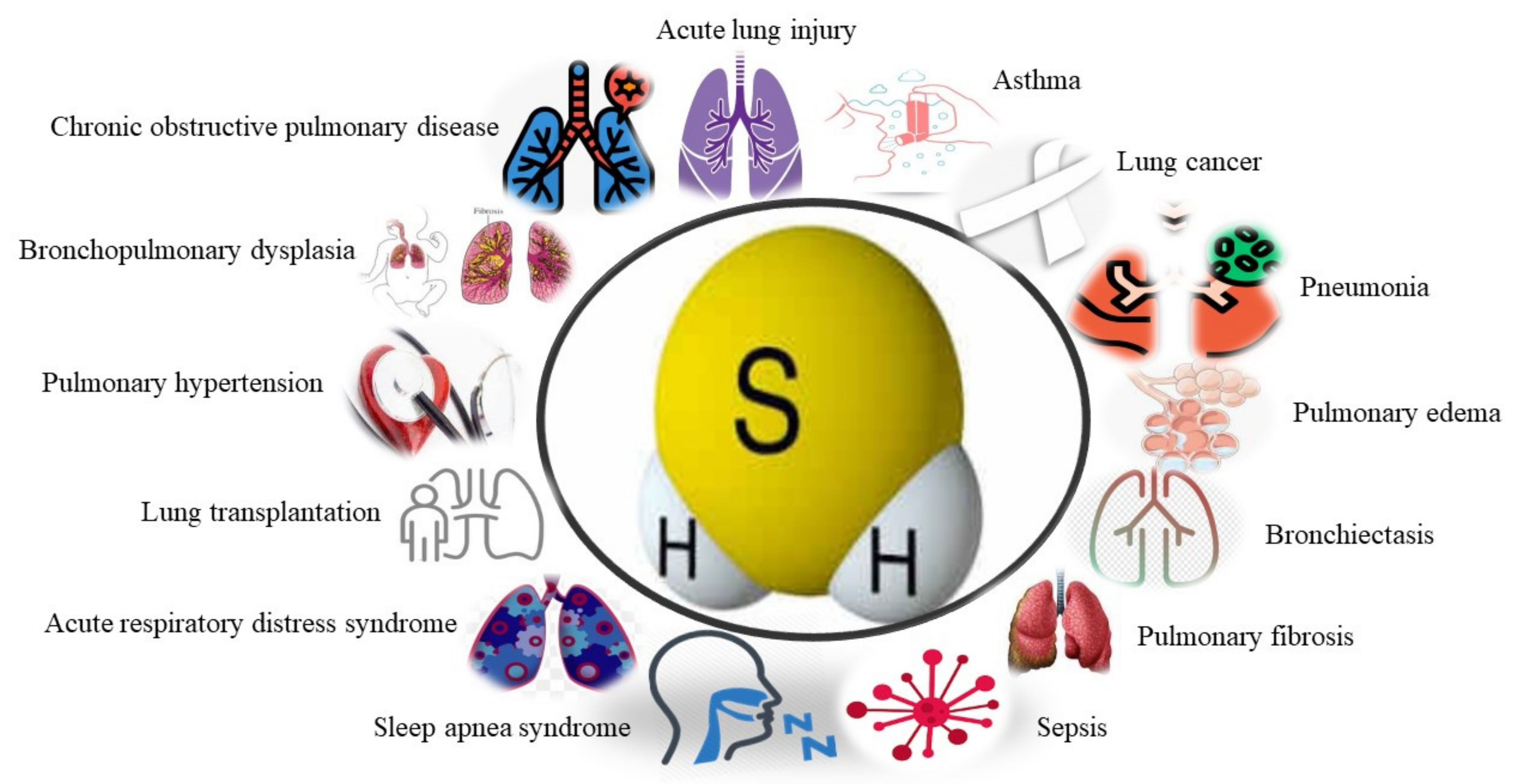 Biomolecules 11 00682 g003 Biomolecules 11 00682 g003