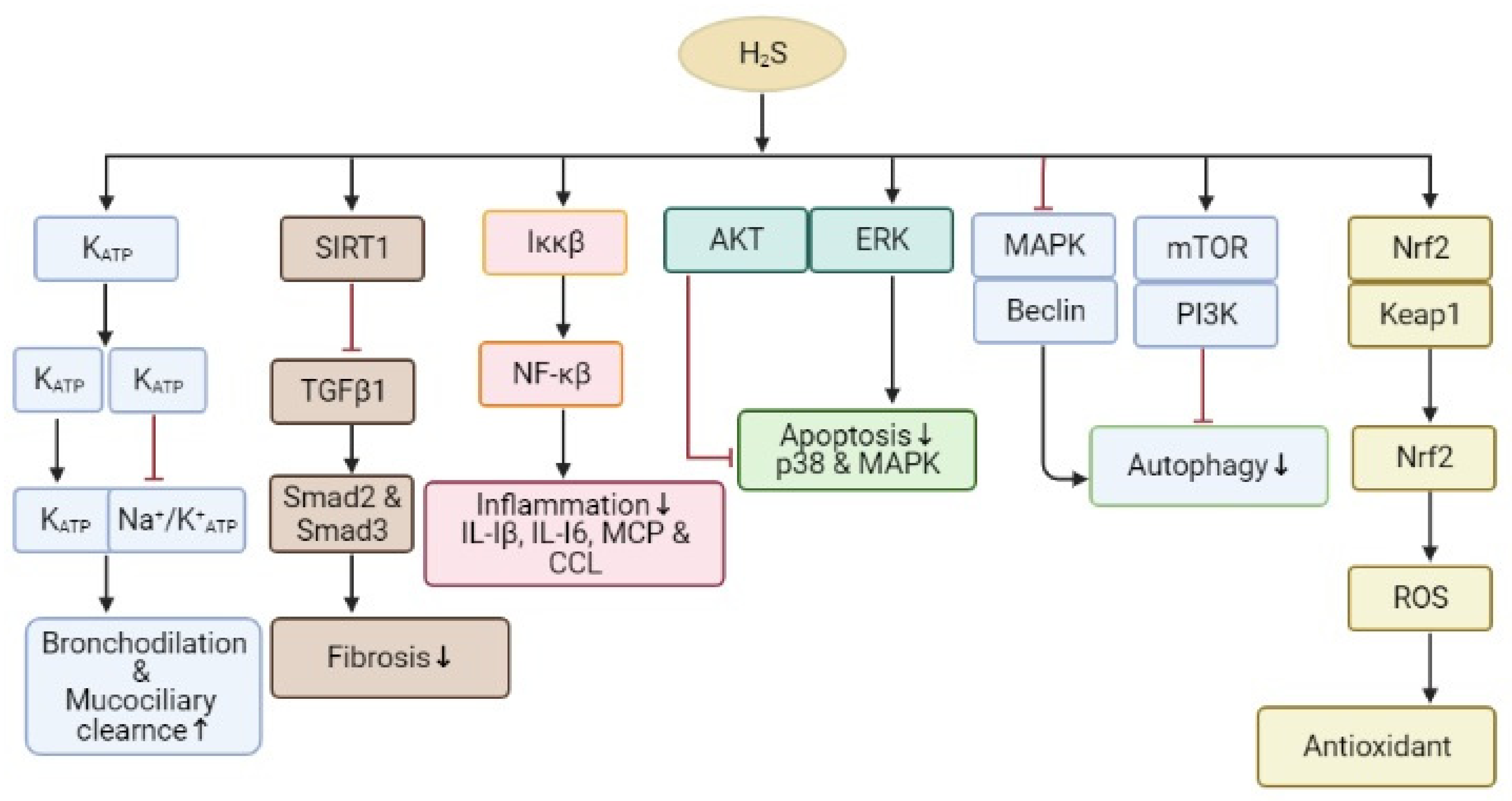 Biomolecules 11 00682 g004 Biomolecules 11 00682 g004