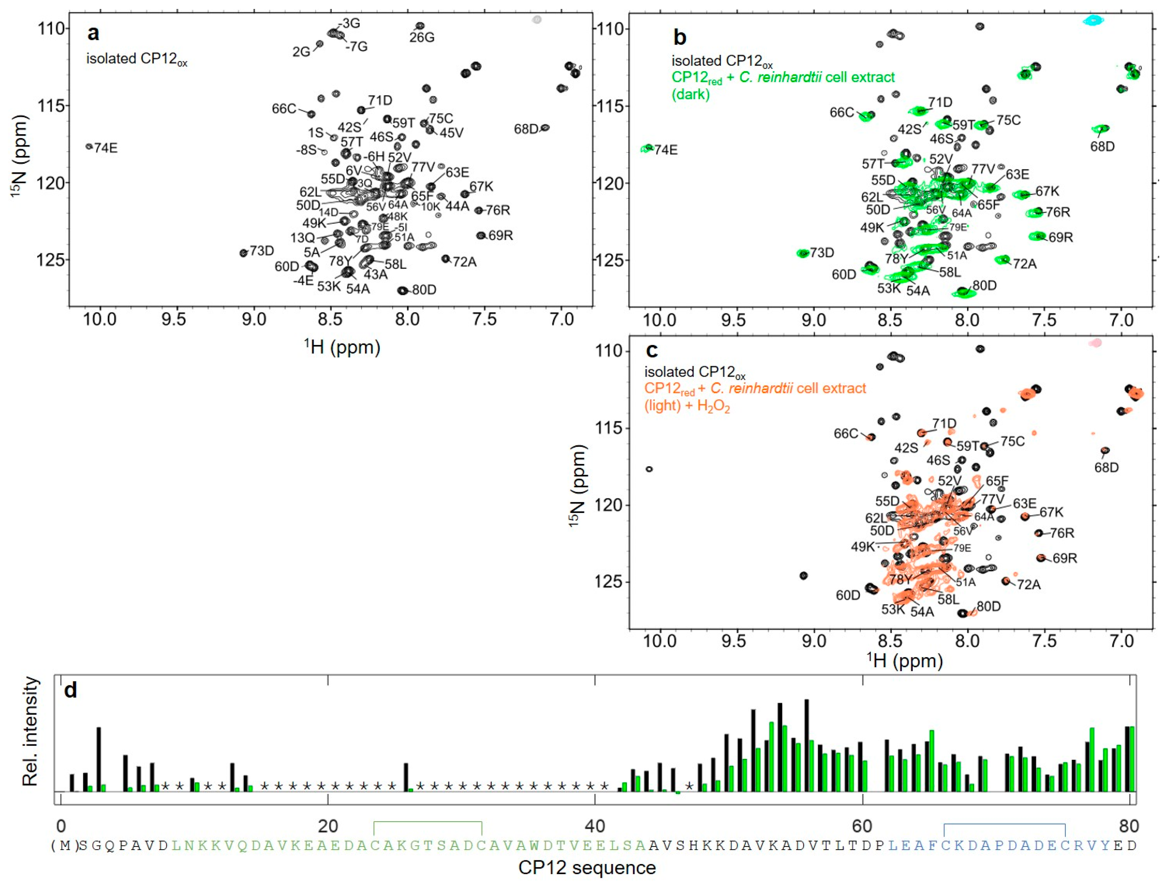 Biomolecules 11 00701 g005 Biomolecules 11 00701 g005