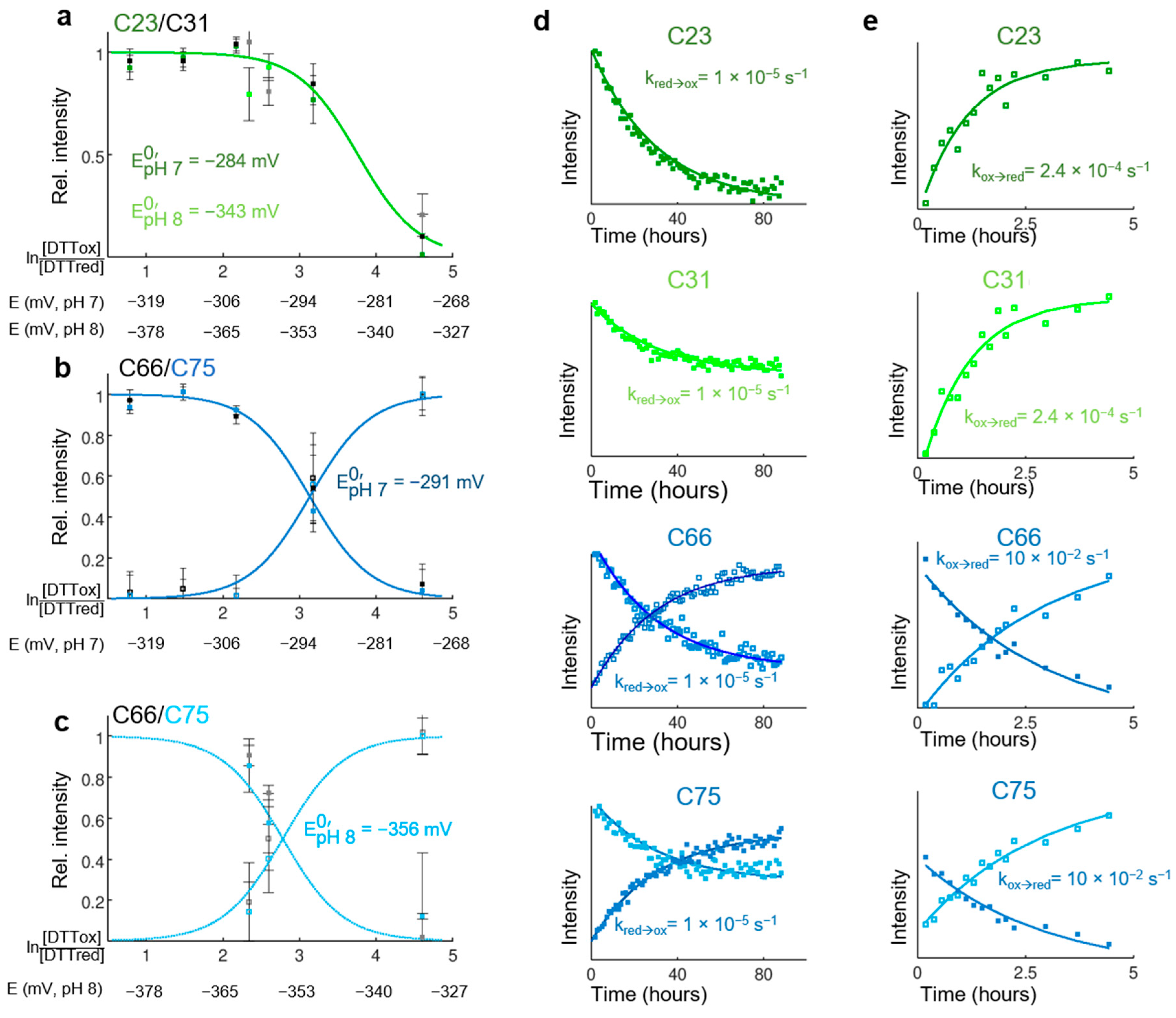 Biomolecules 11 00701 g006 Biomolecules 11 00701 g006