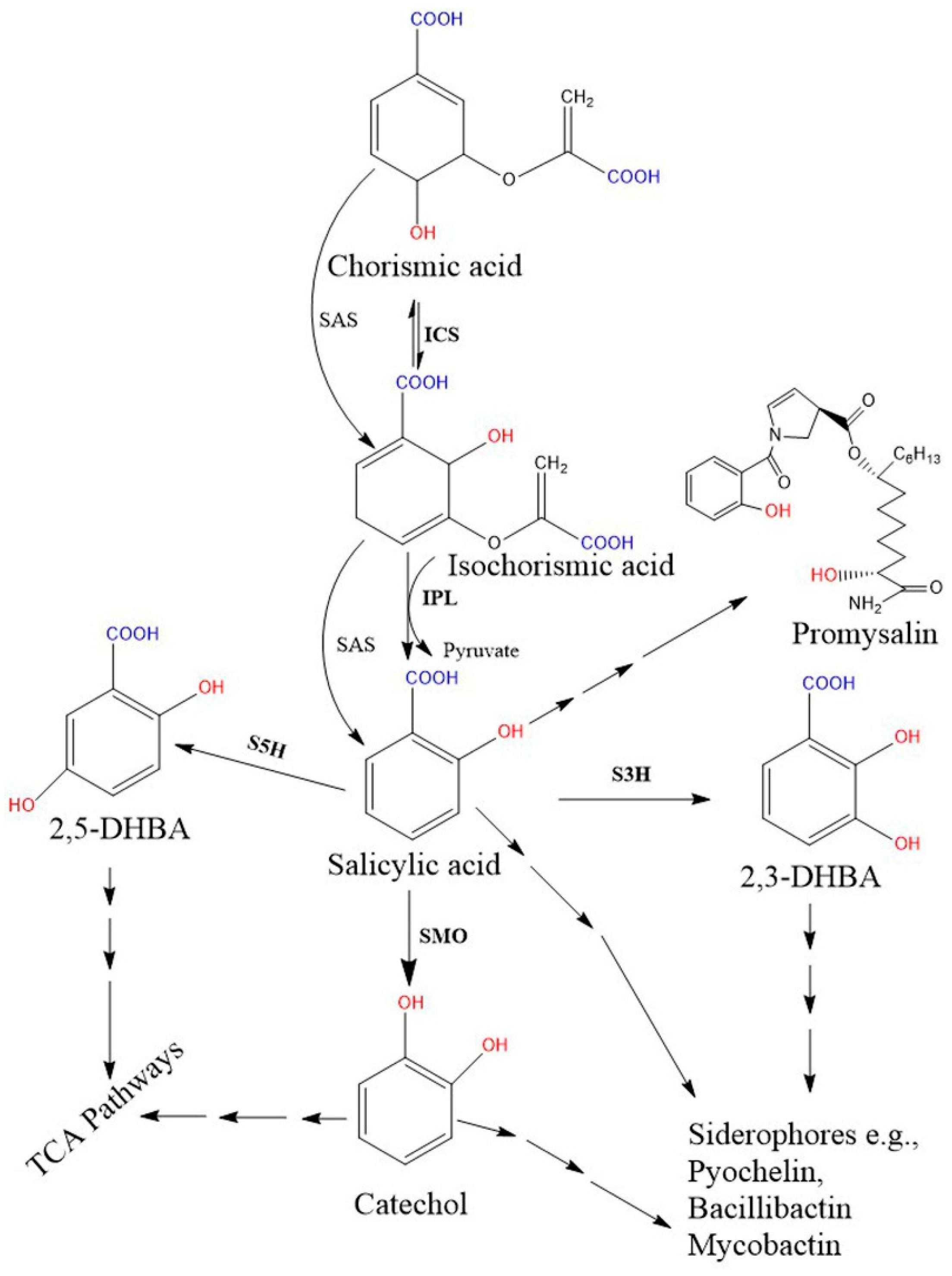Biomolecules 11 00705 g002 Biomolecules 11 00705 g002