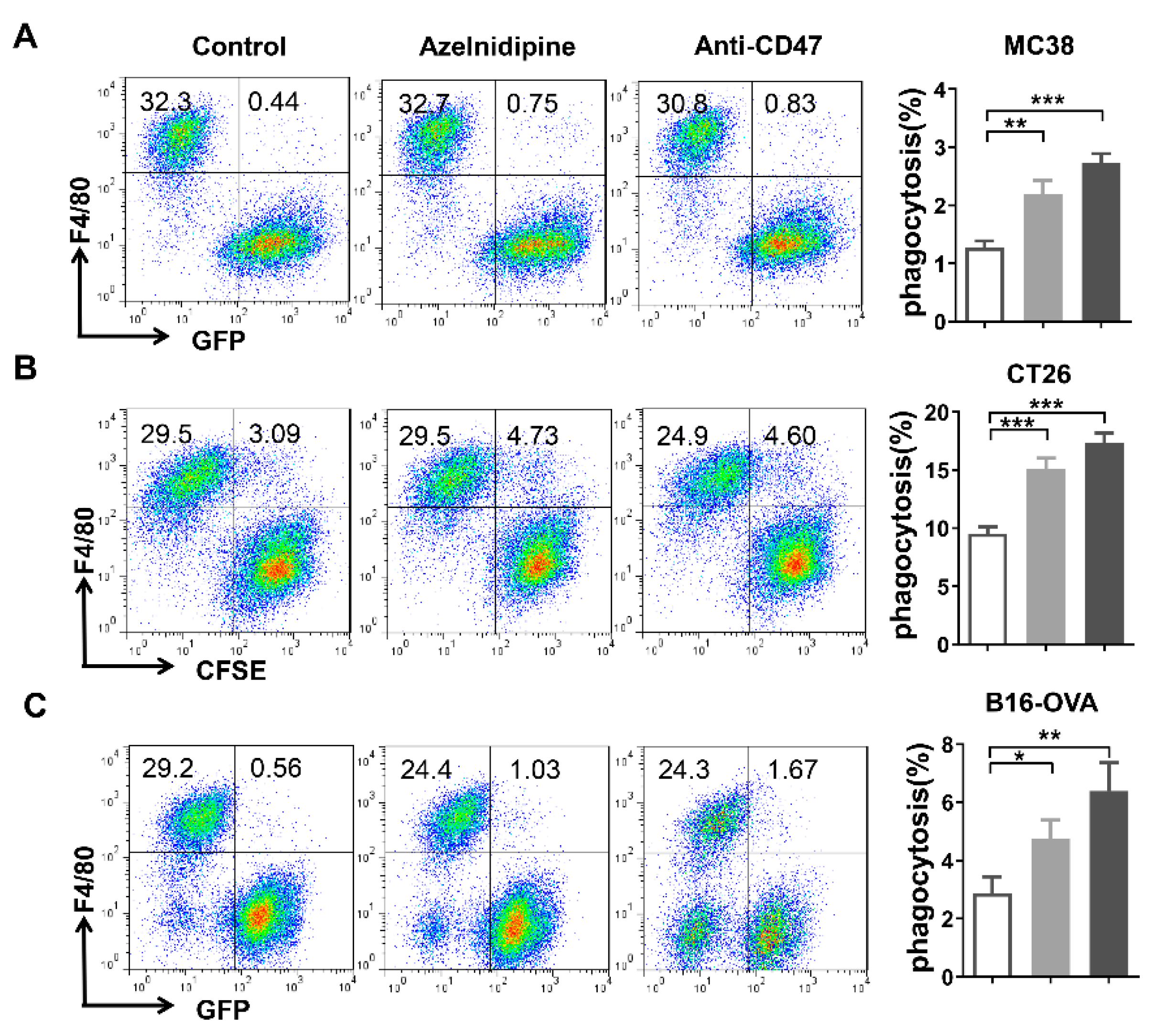Biomolecules 11 00706 g004