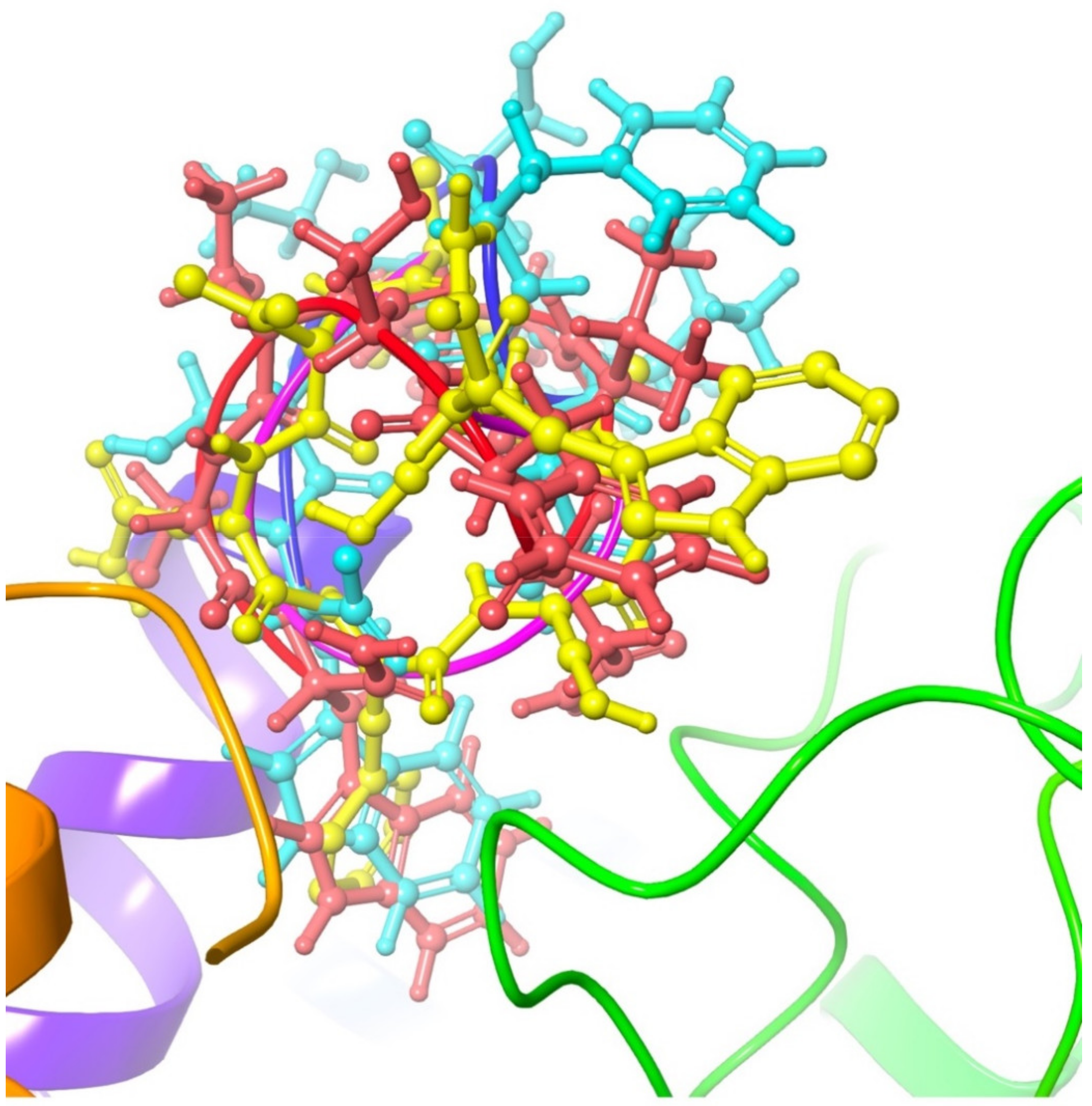 Biomolecules 11 00710 g005
