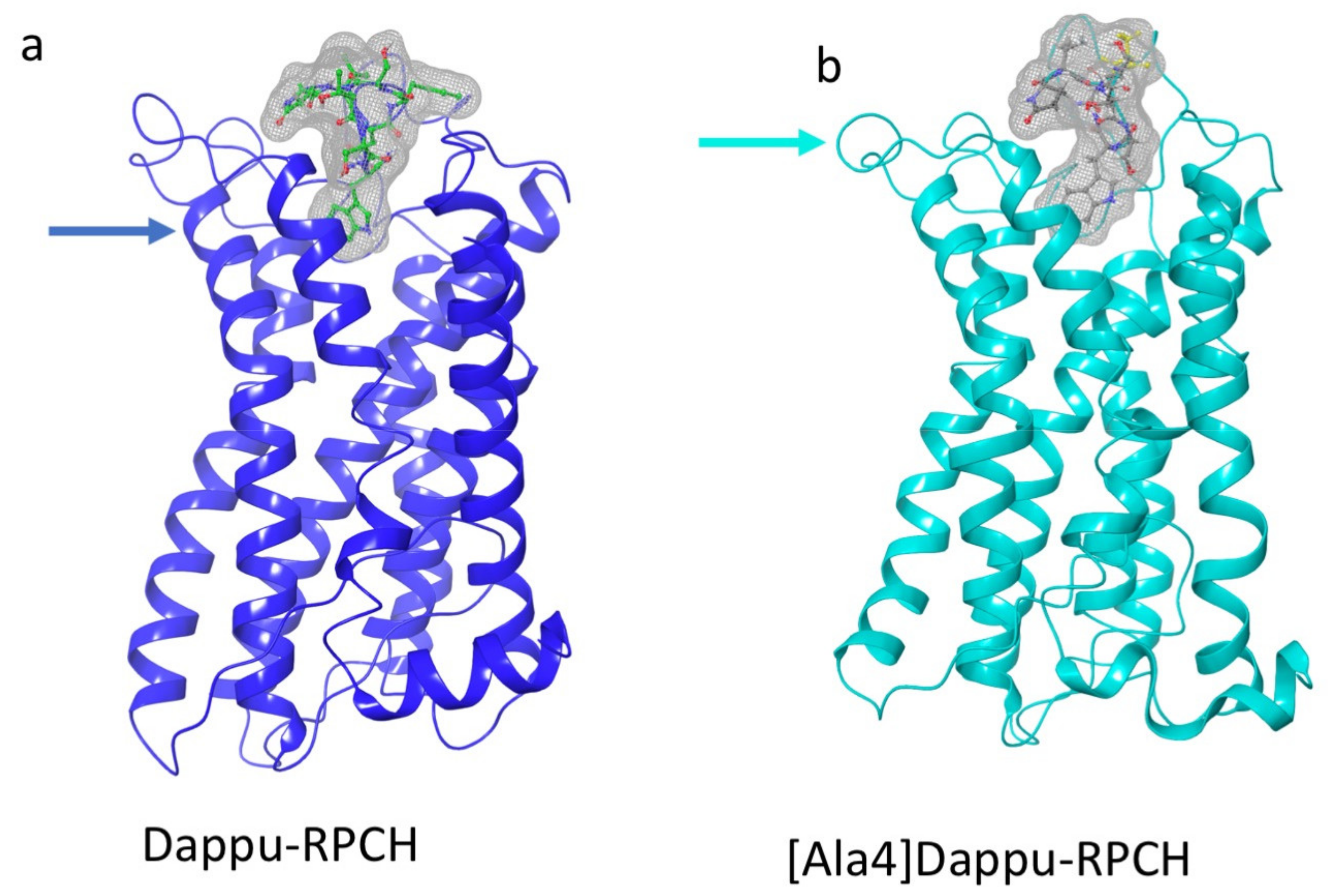 Biomolecules 11 00710 g007
