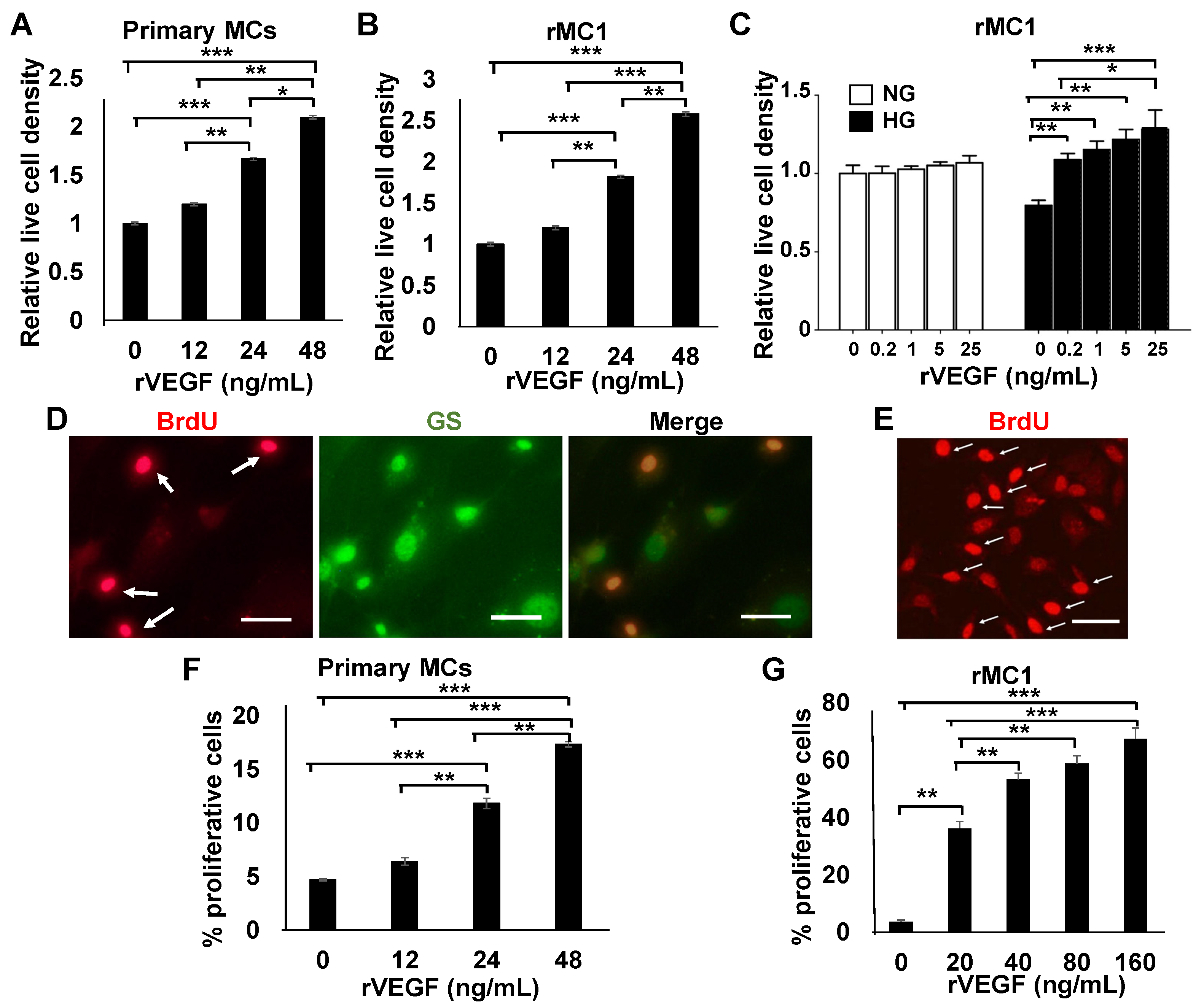 Biomolecules 11 00712 g001