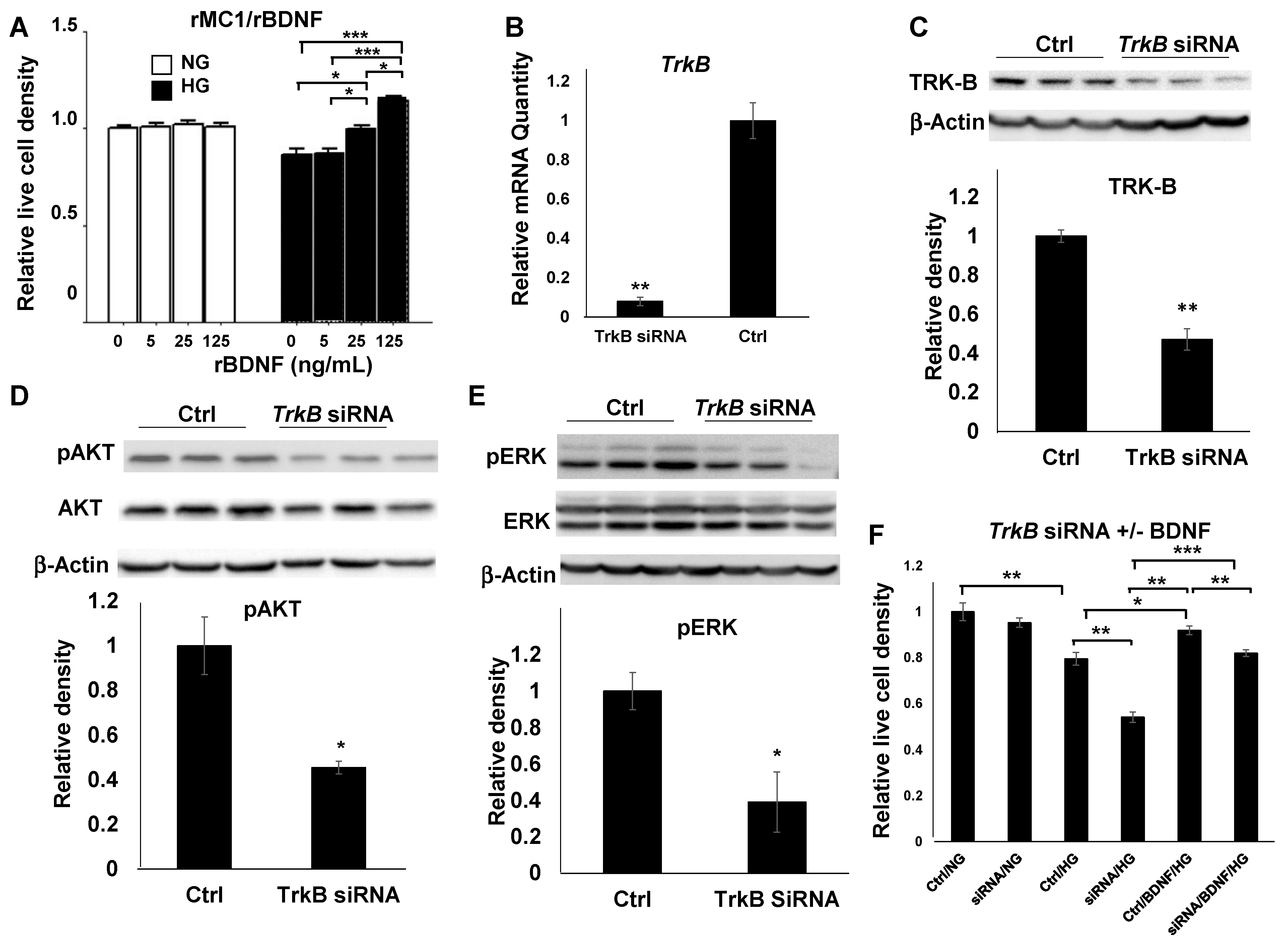 Biomolecules 11 00712 g003