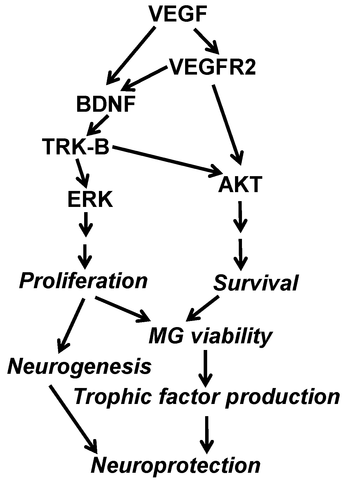 Biomolecules 11 00712 g004