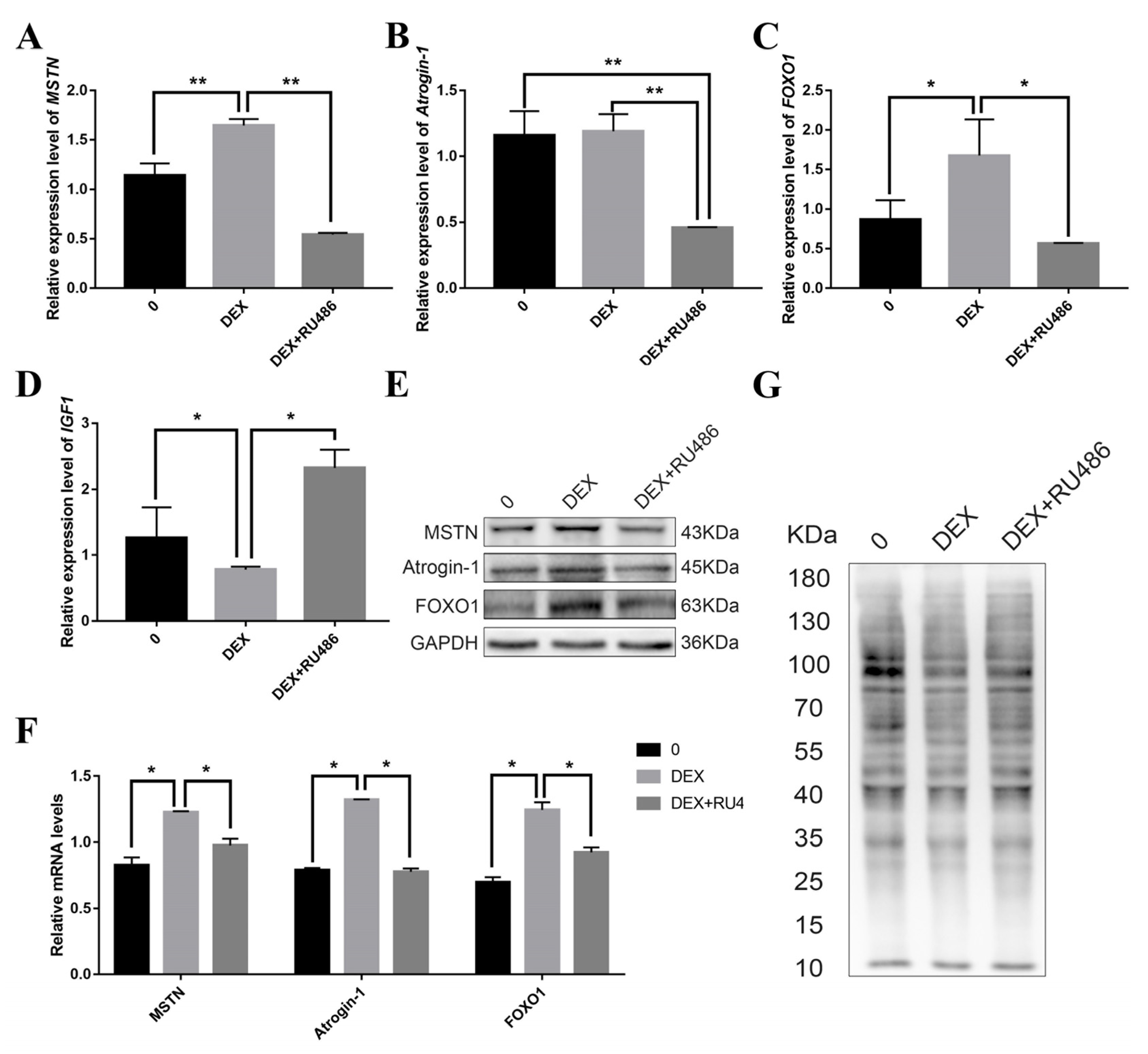 Biomolecules 11 00721 g001