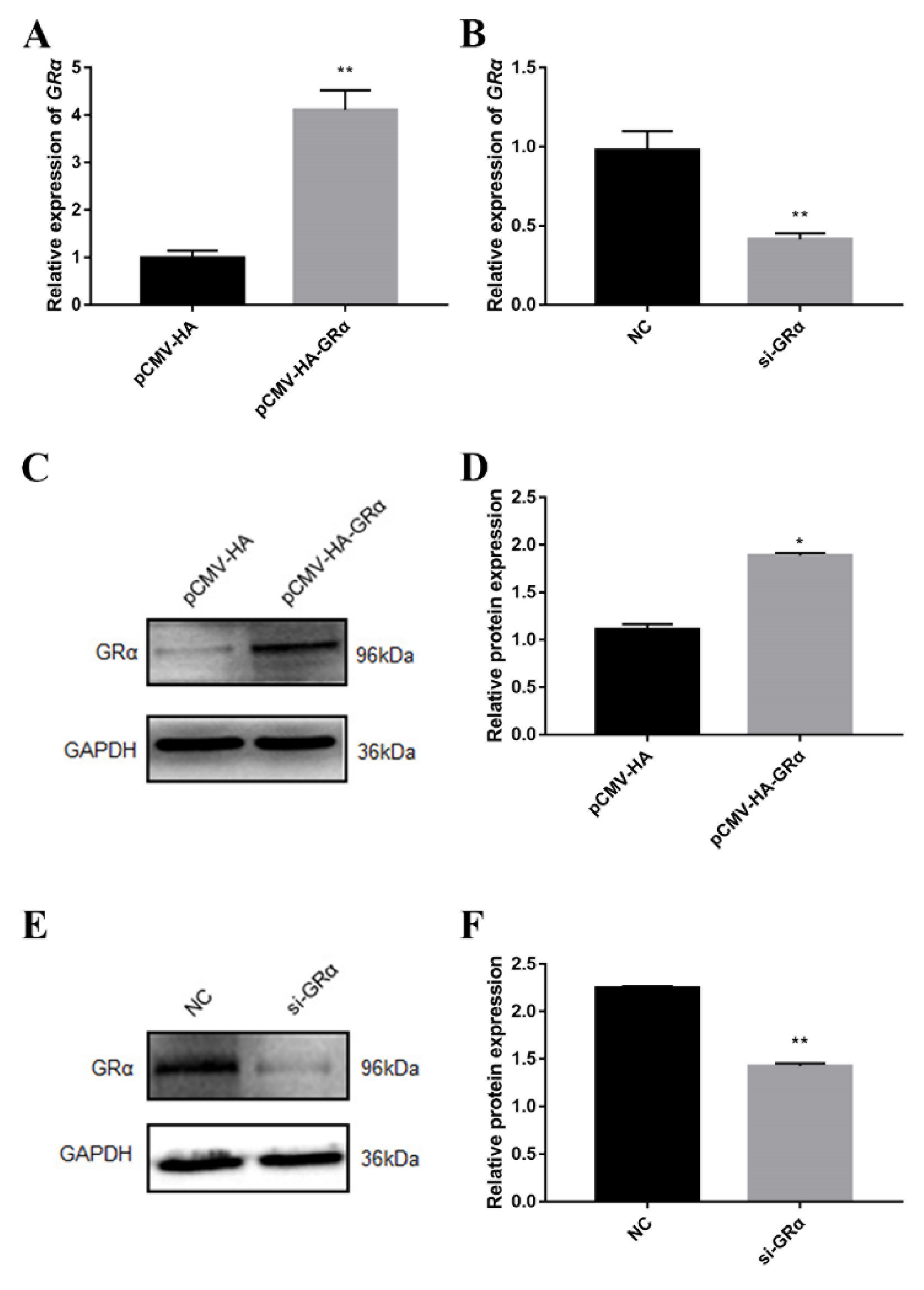 Biomolecules 11 00721 g002