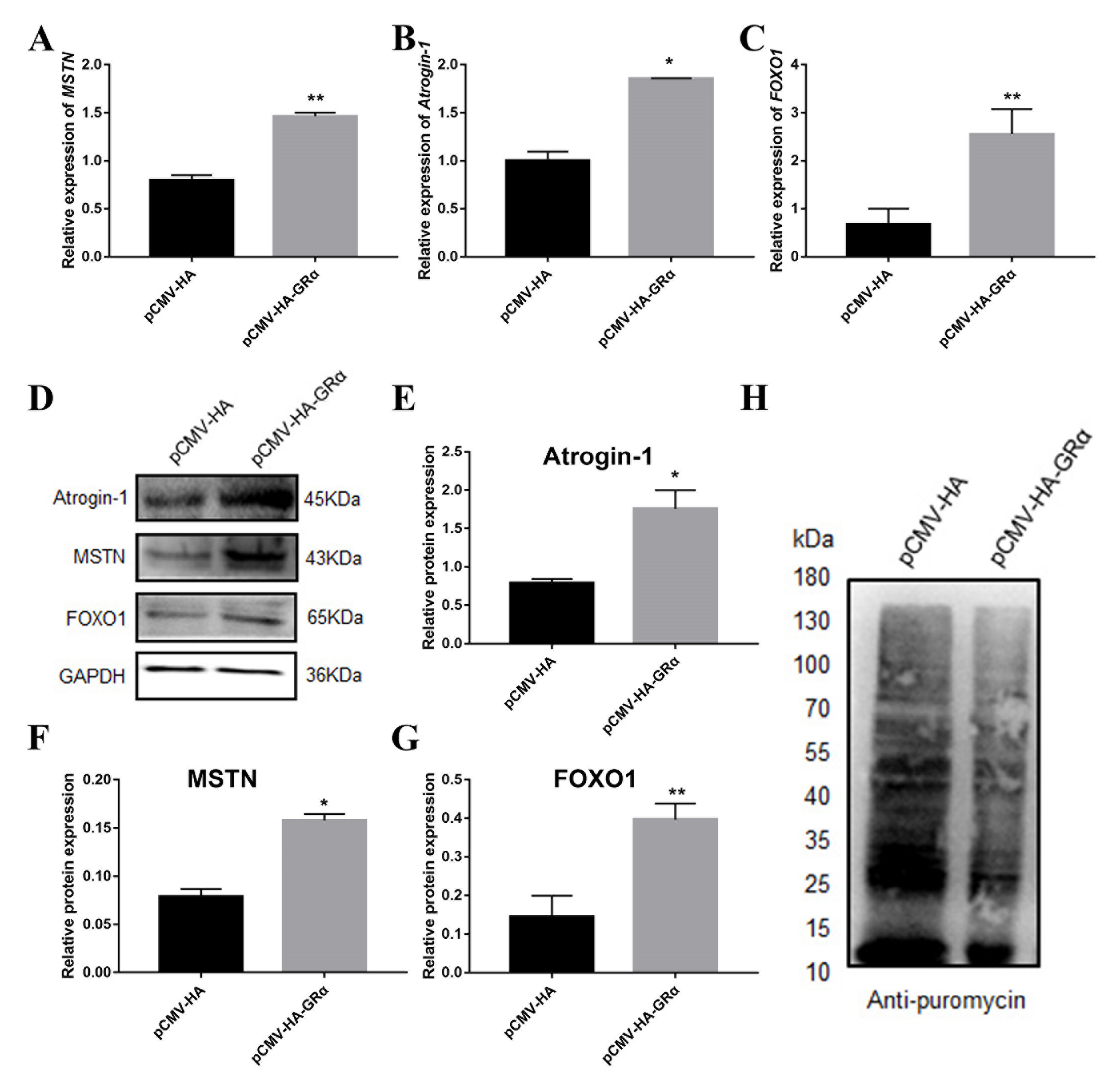 Biomolecules 11 00721 g004