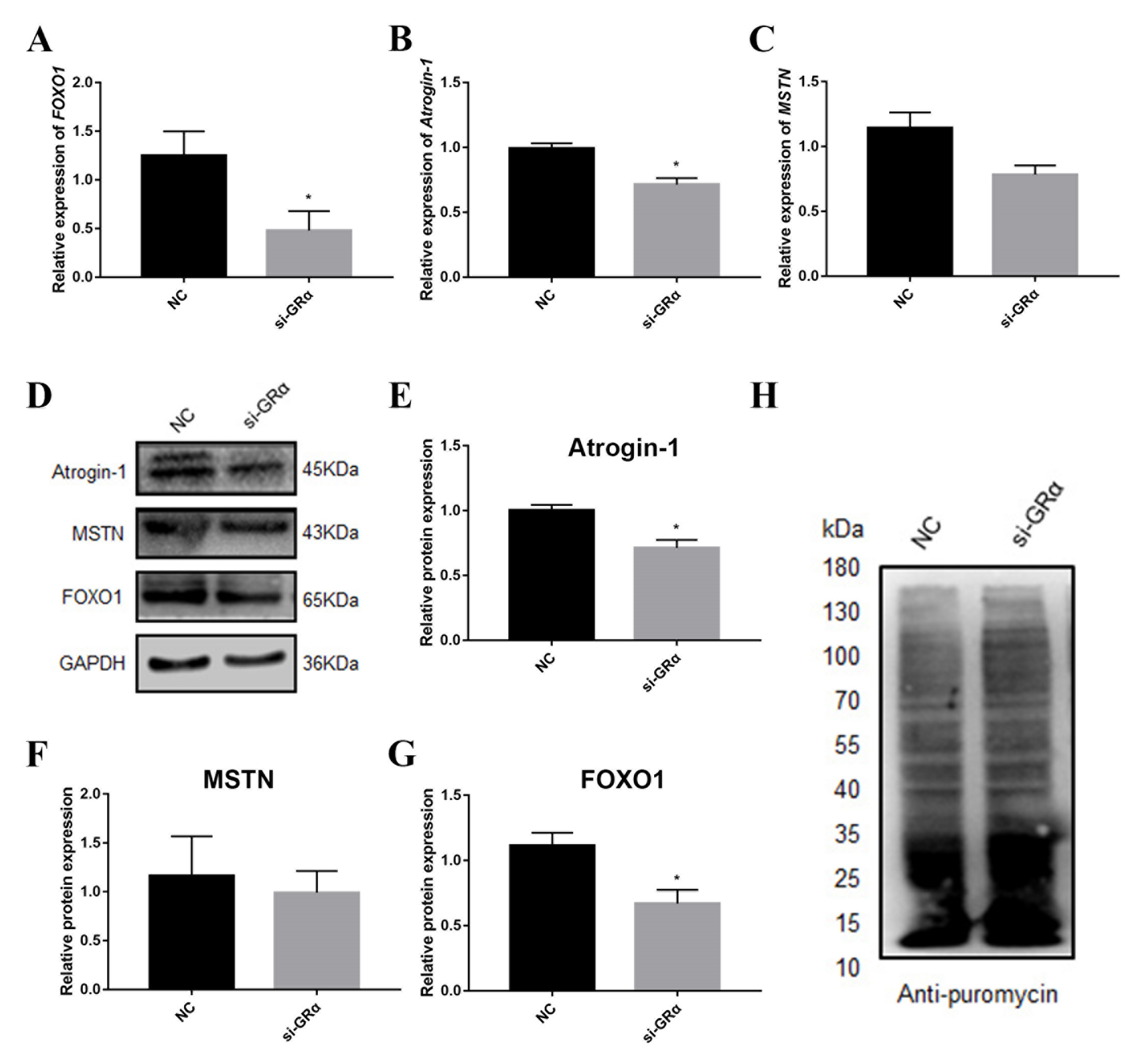Biomolecules 11 00721 g005