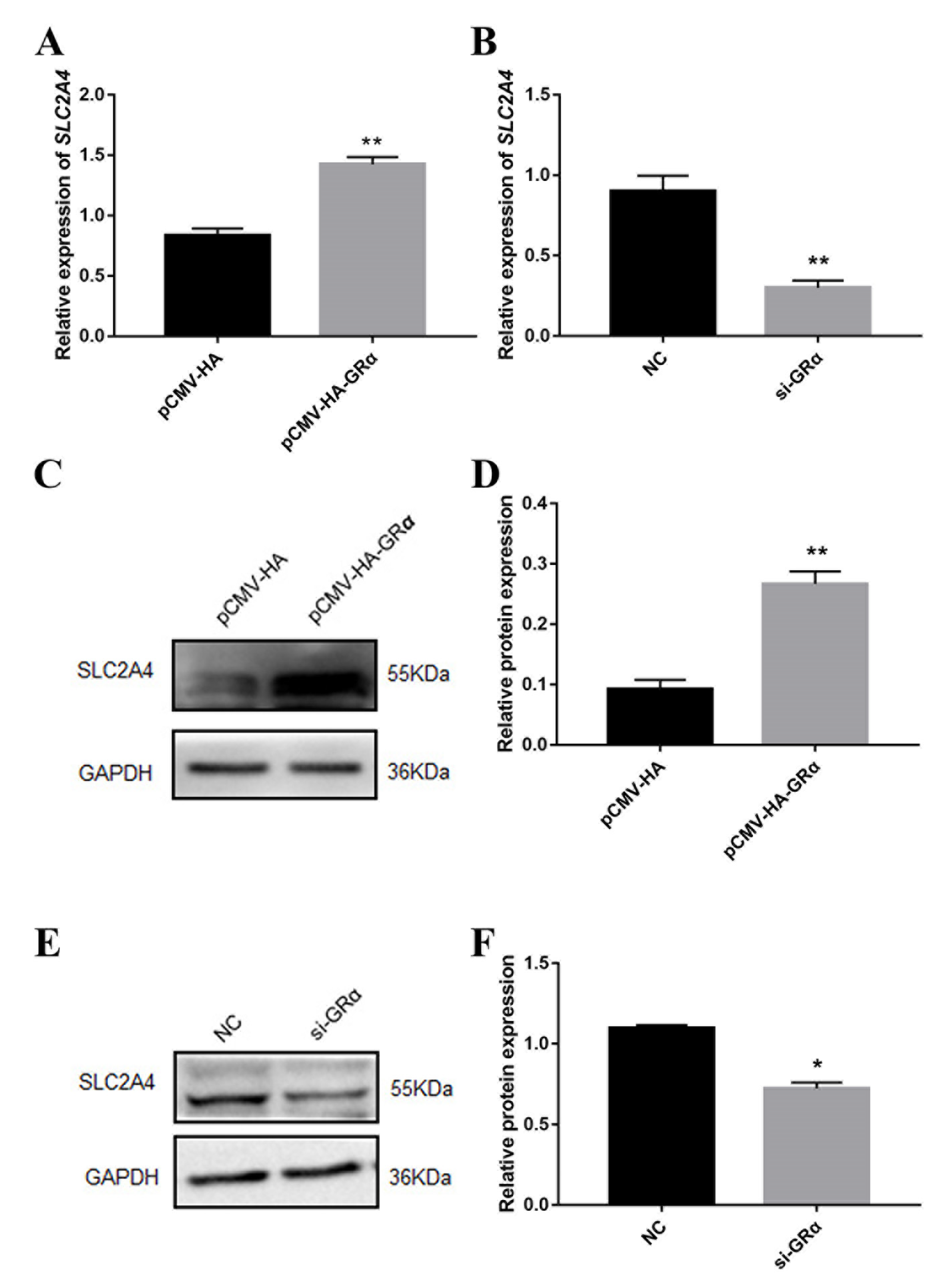 Biomolecules 11 00721 g006