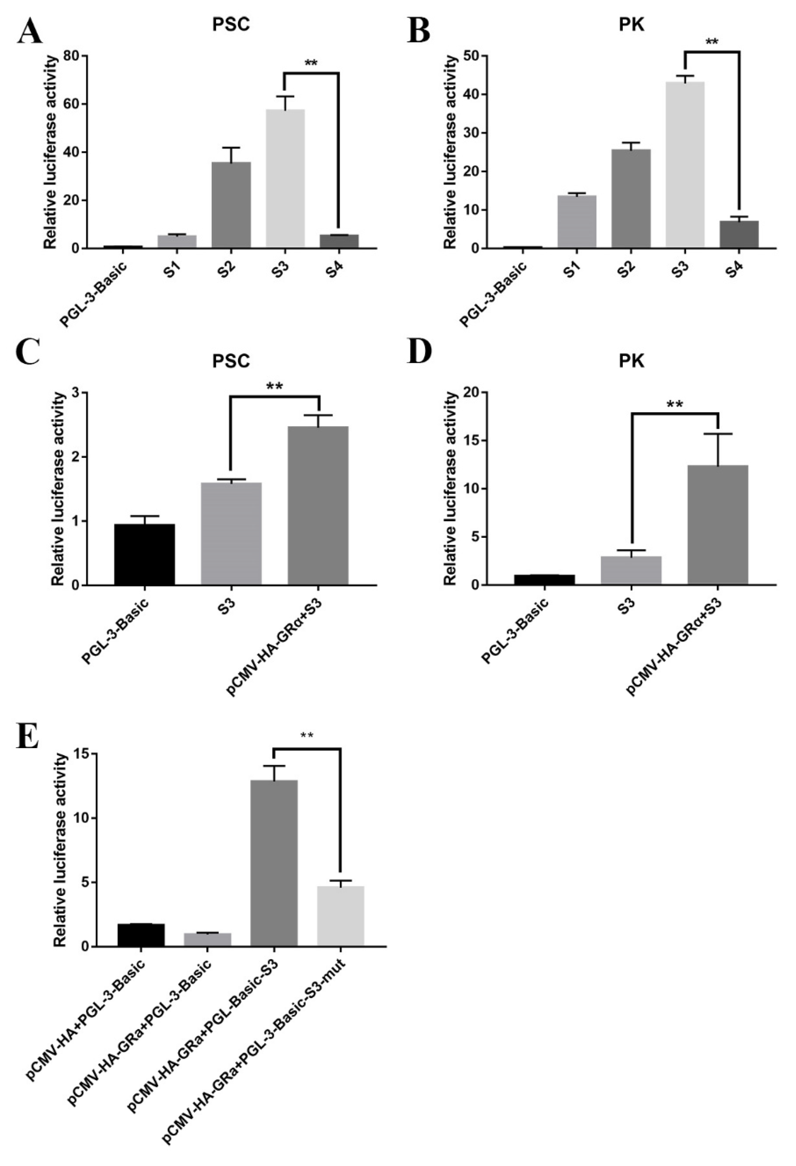 Biomolecules 11 00721 g007